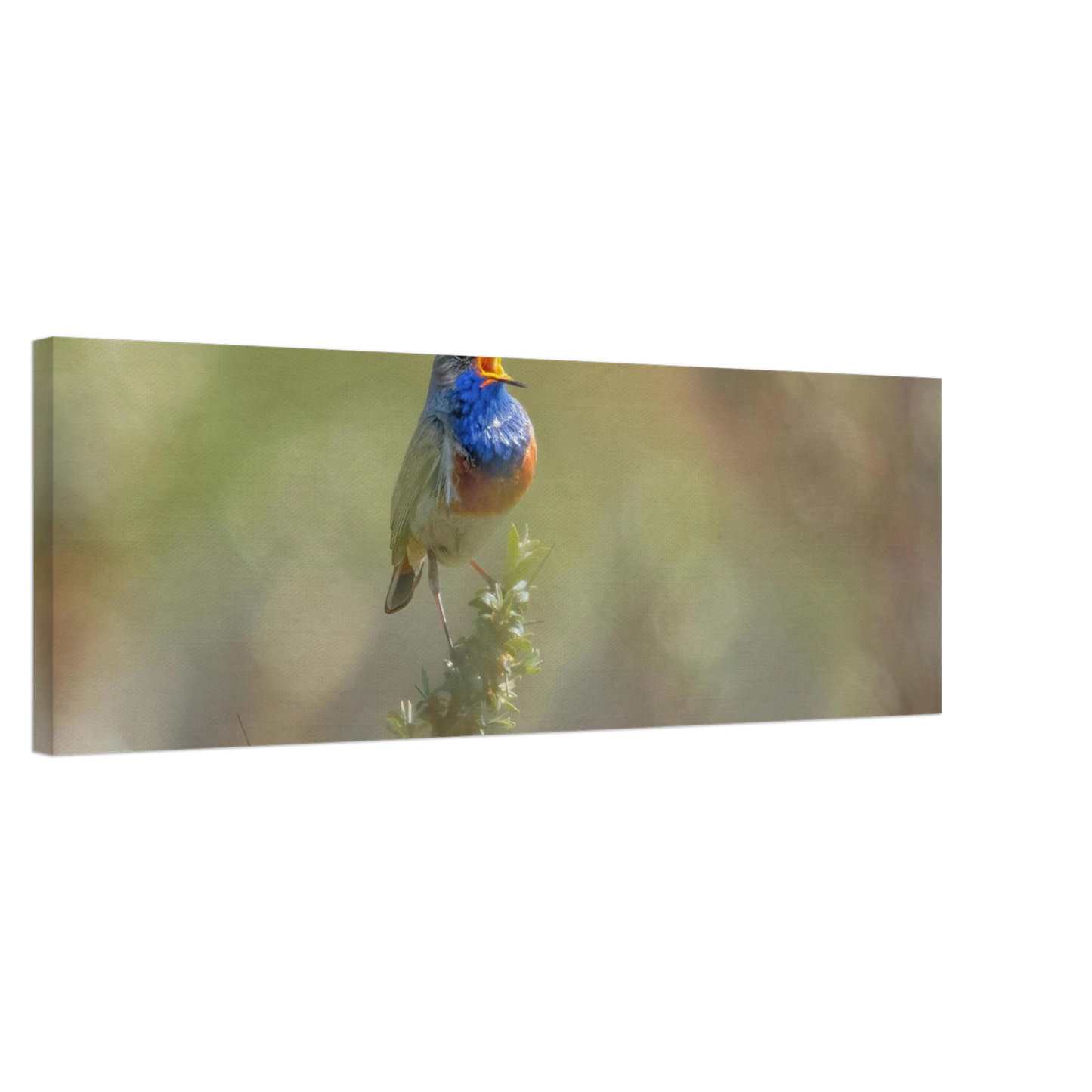 Wandbild singvogel in blautoenen lebendige vogelkunst fuer ihr zuhause in ihrer wunschgroesse