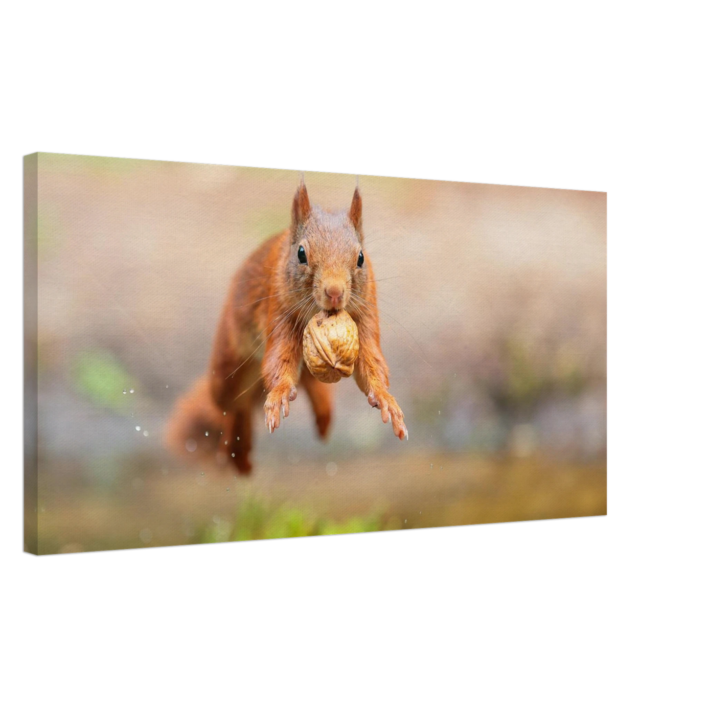 Wandbild eichhoernchens freudensprung dynamische tierkunst in leuchtenden farben