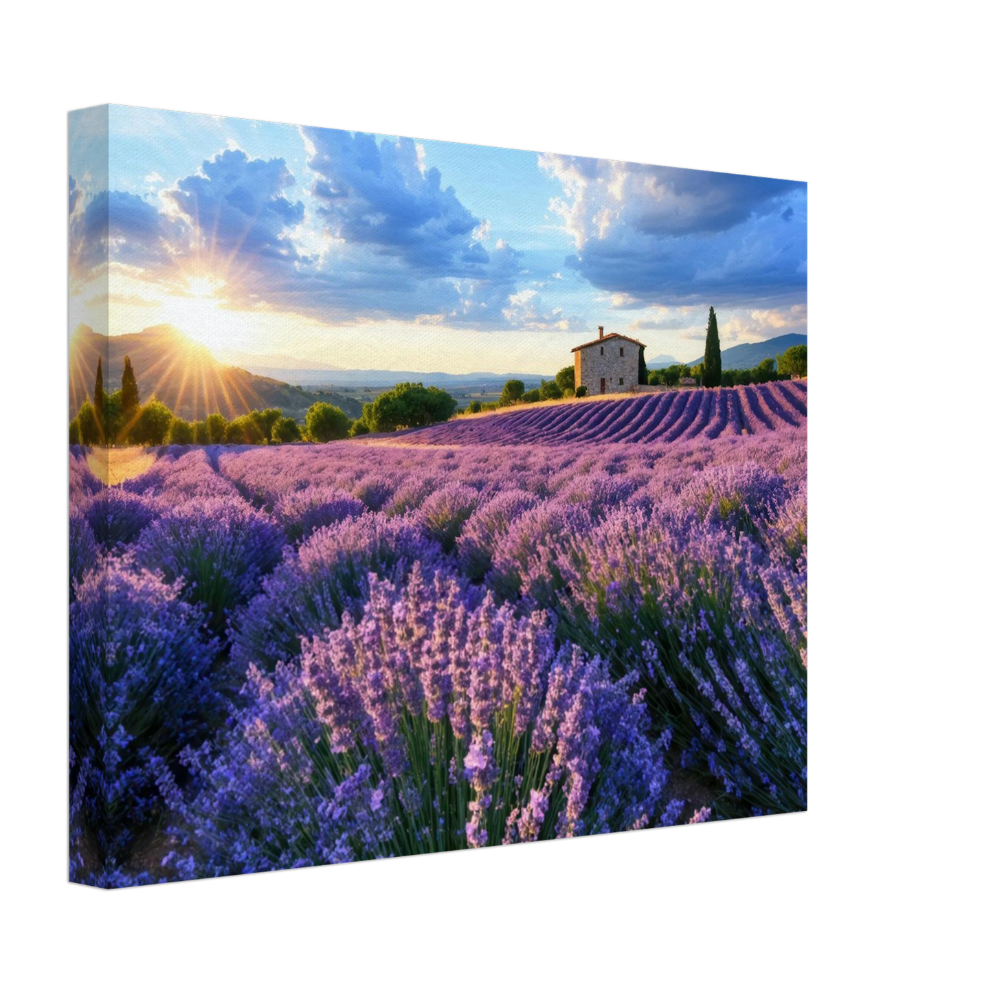 Wandbild sonnenuntergang ueber lavendelfeldern idyllische provence landschaft im wunschformat