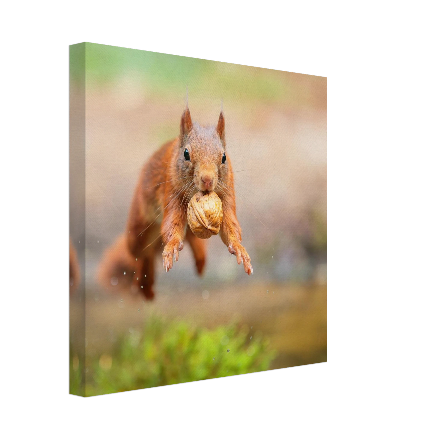 Wandbild eichhoernchens freudensprung dynamische tierkunst in leuchtenden farben