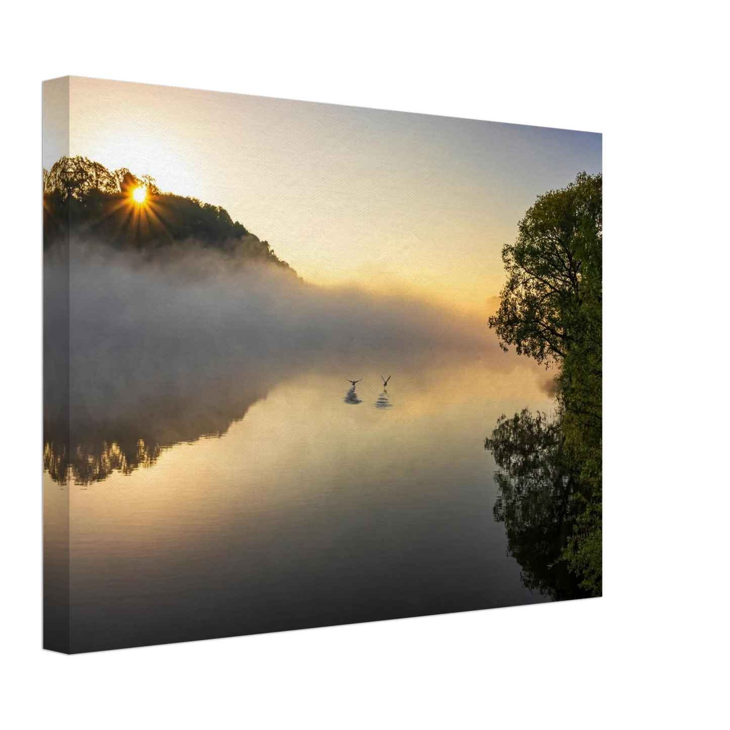 Wandbild mystischer sonnenaufgang ueber dem nebelmeer stille wasser voegel leinwandbild fuer ihr zuhause