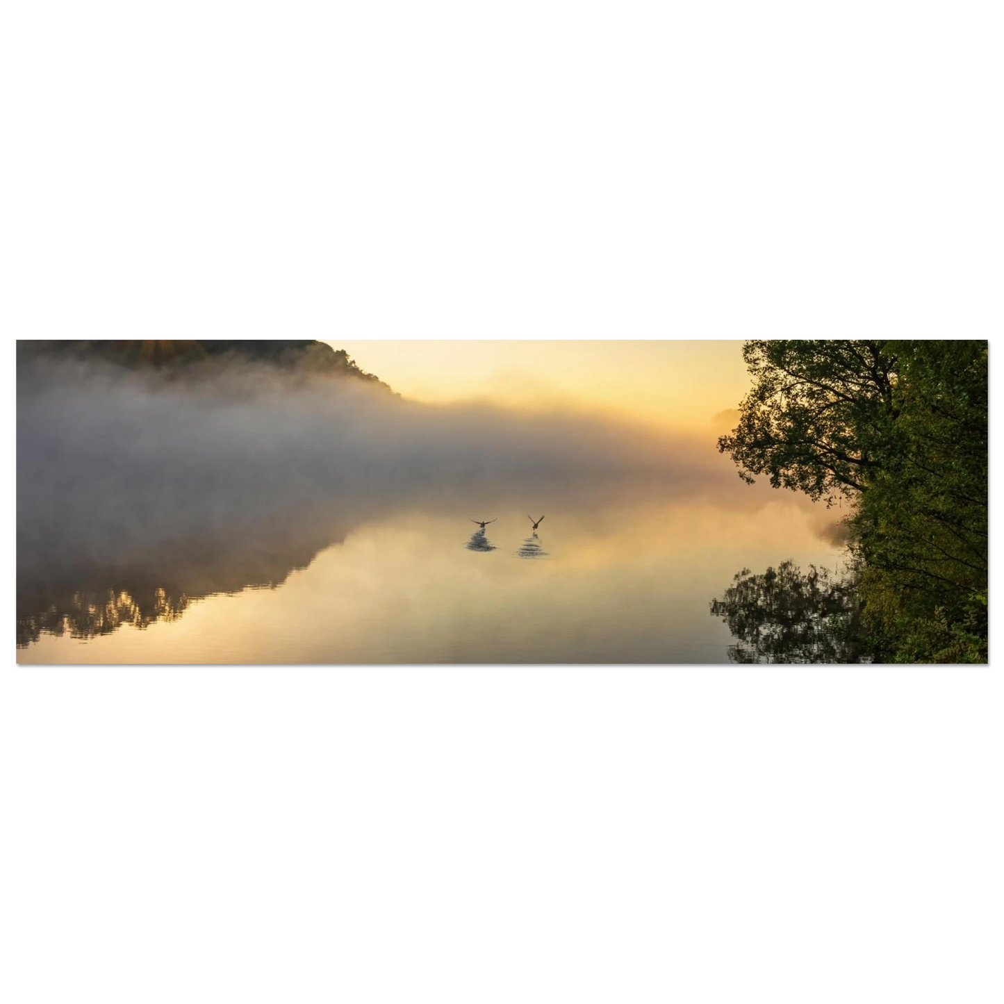 Wandbild mystischer sonnenaufgang ueber dem nebelmeer stille wasser voegel leinwandbild fuer ihr zuhause