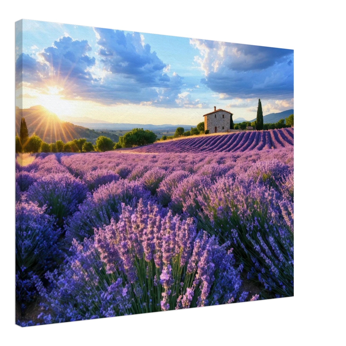 Wandbild sonnenuntergang ueber lavendelfeldern idyllische provence landschaft im wunschformat