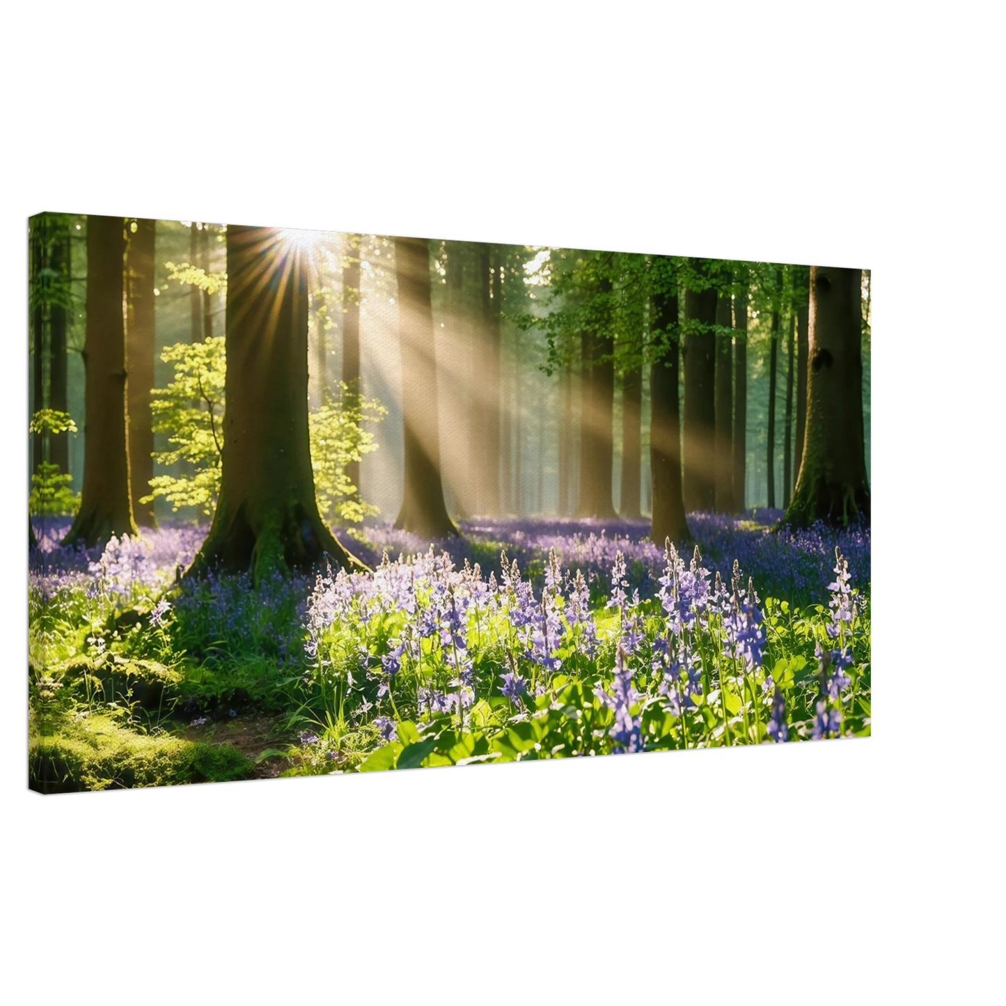 Wandbild mystischer morgenwald mit sonnenstrahlen und lila blueten in vielen groessen