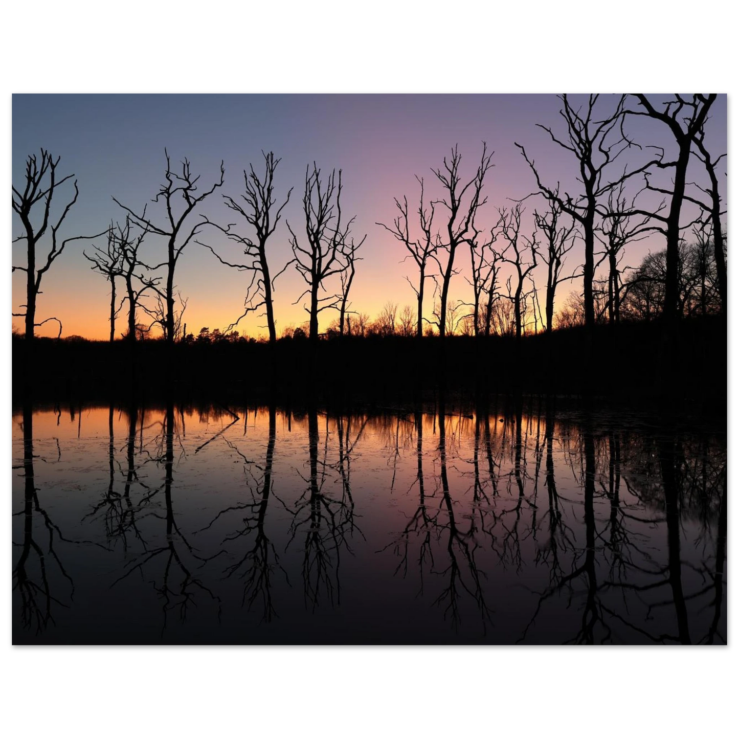 Wandbild sonnenuntergang ueber spiegelndem see magische naturlandschaft mit silhouetten