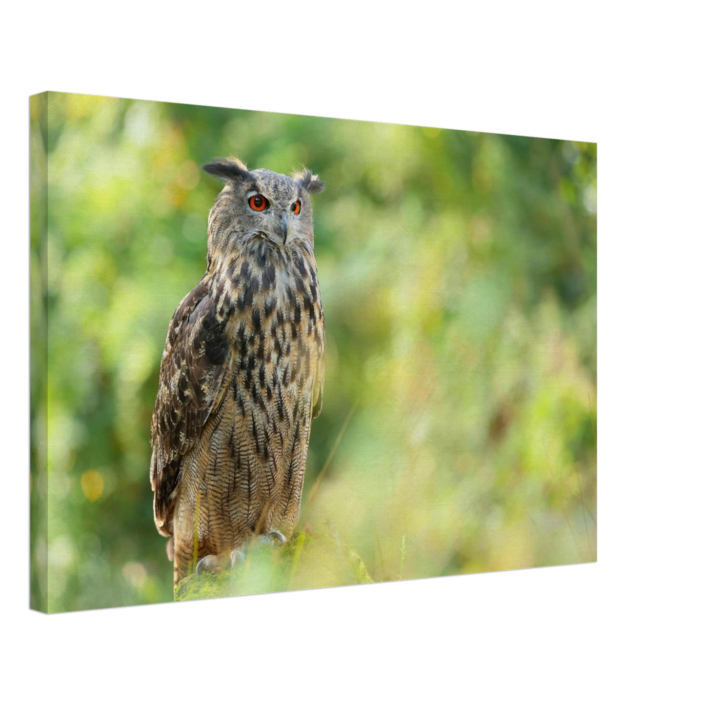 Wandbild mystische eule majestaetisches waldtier mit leuchtenden augen in ihrer wunschgroesse