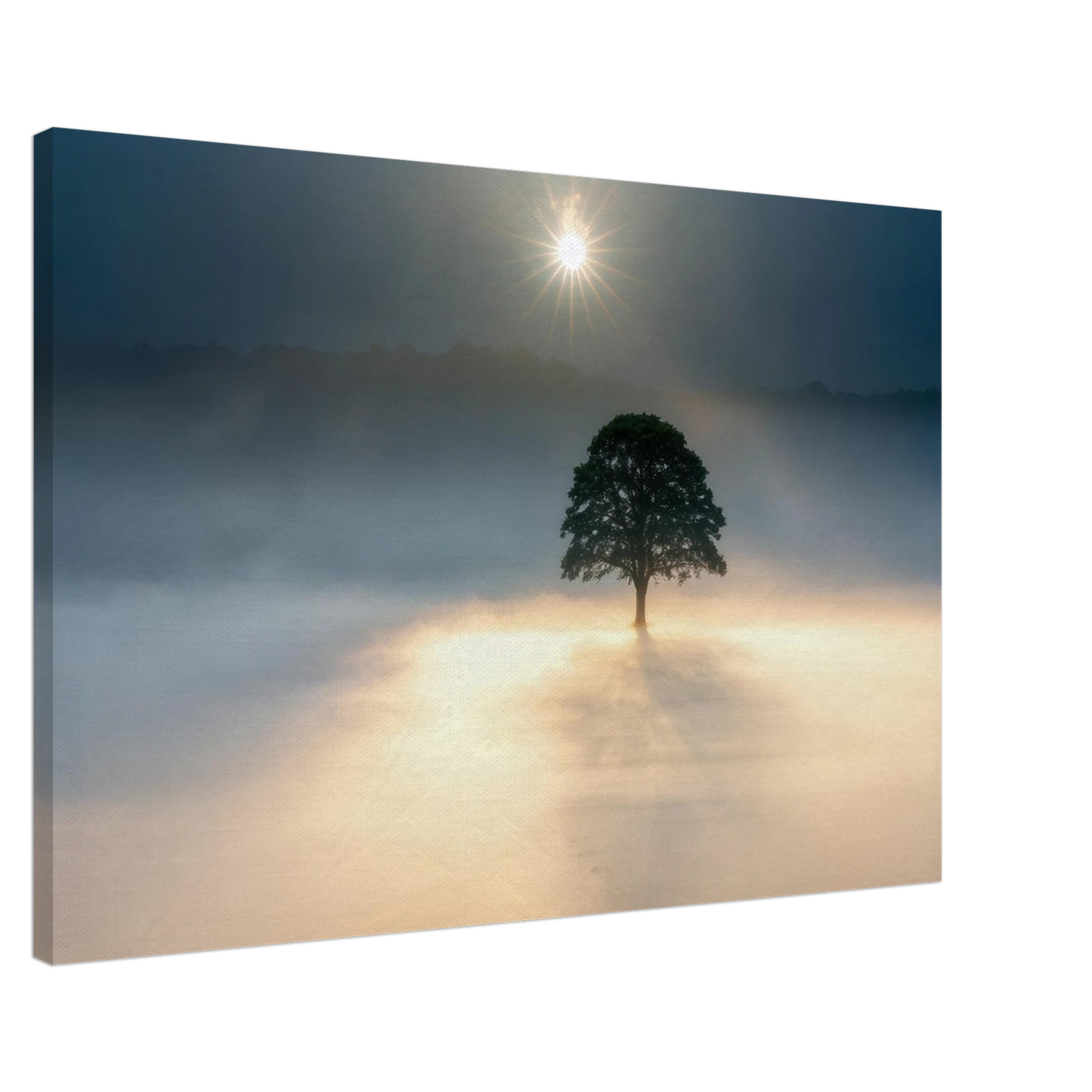 Wandbild mystisches baum wandbild einzelner baum im nebel sonnenaufgang waehlbar in verschiedenen groessen
