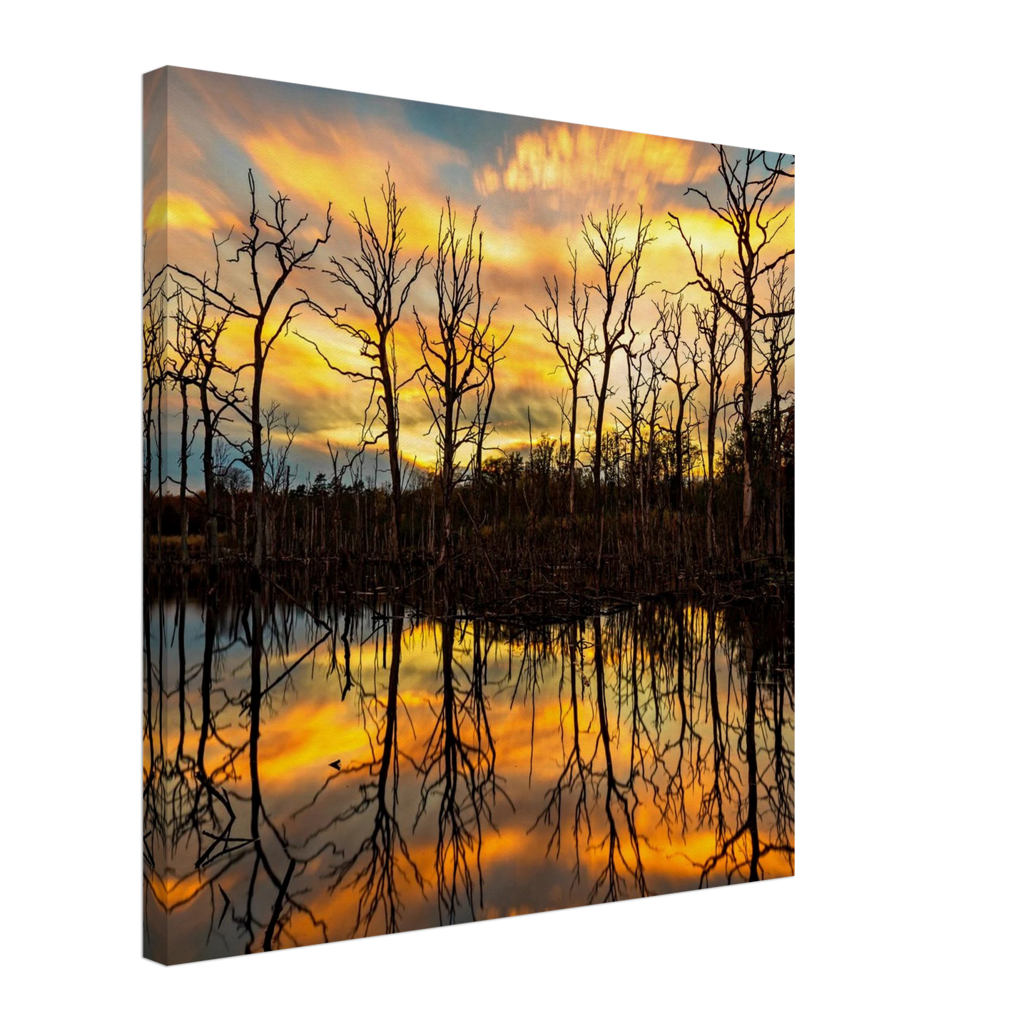 Wandbild mystischer sonnenuntergang ueber dem baumsee lebendige kunstdrucke in vielen groessen