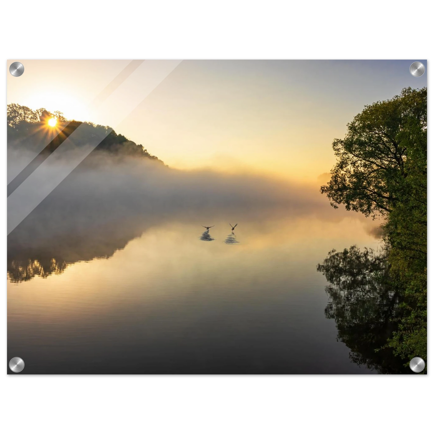 Wandbild mystischer sonnenaufgang ueber dem nebelmeer stille wasser voegel leinwandbild fuer ihr zuhause