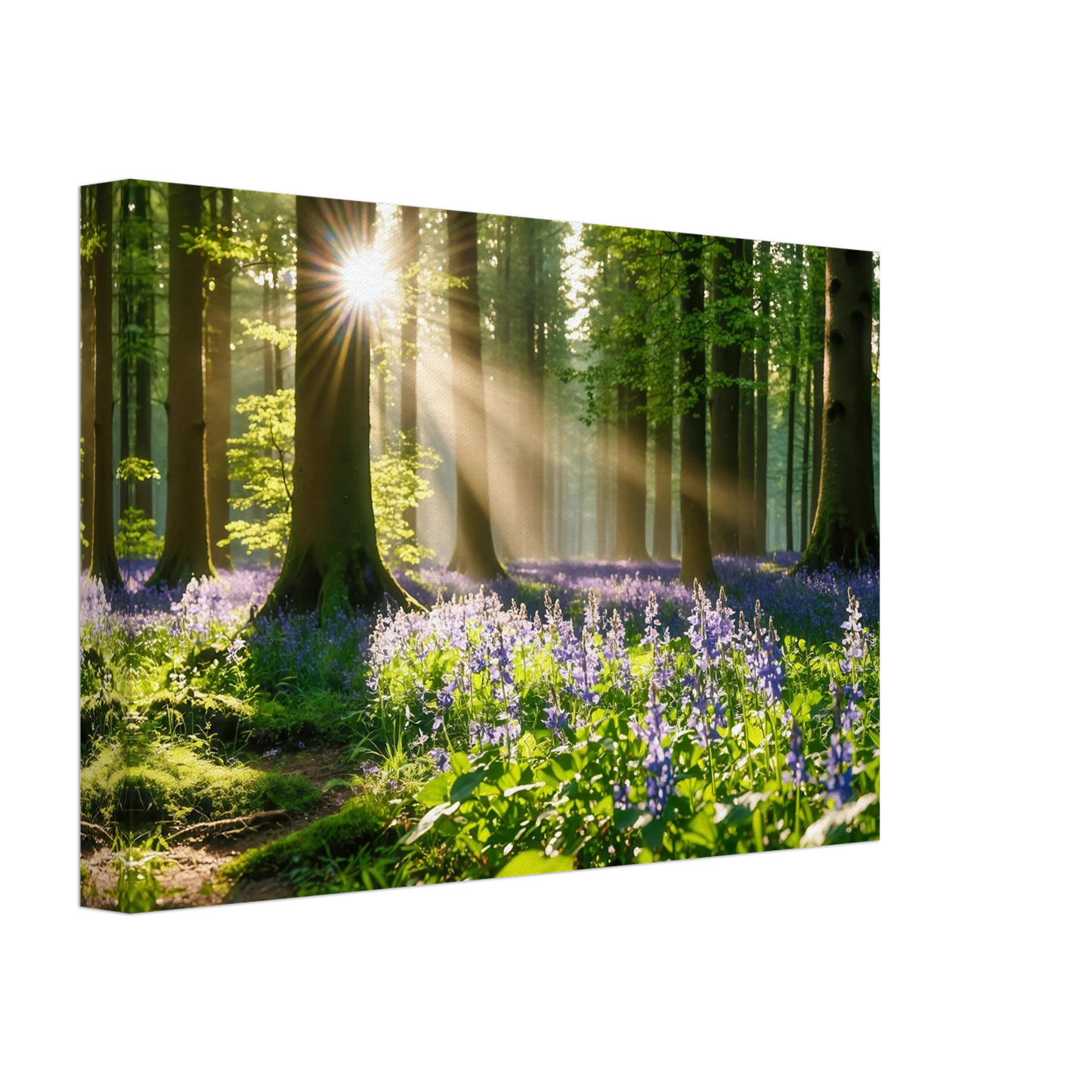 Wandbild mystischer morgenwald mit sonnenstrahlen und lila blueten in vielen groessen