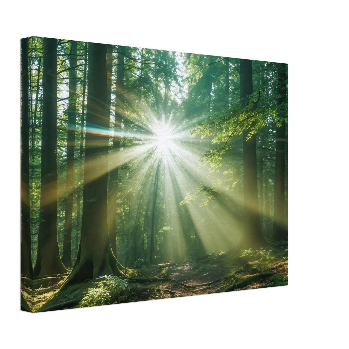 Wandbild sonnenstrahlen im wald mystisches waldlicht kunstdruck in ihrer wunschgroesse
