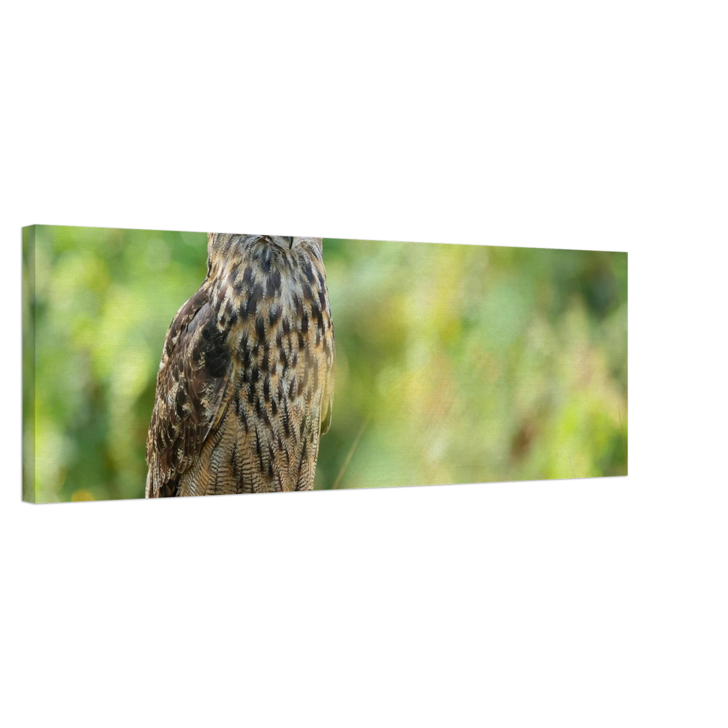 Wandbild mystische eule majestaetisches waldtier mit leuchtenden augen in ihrer wunschgroesse