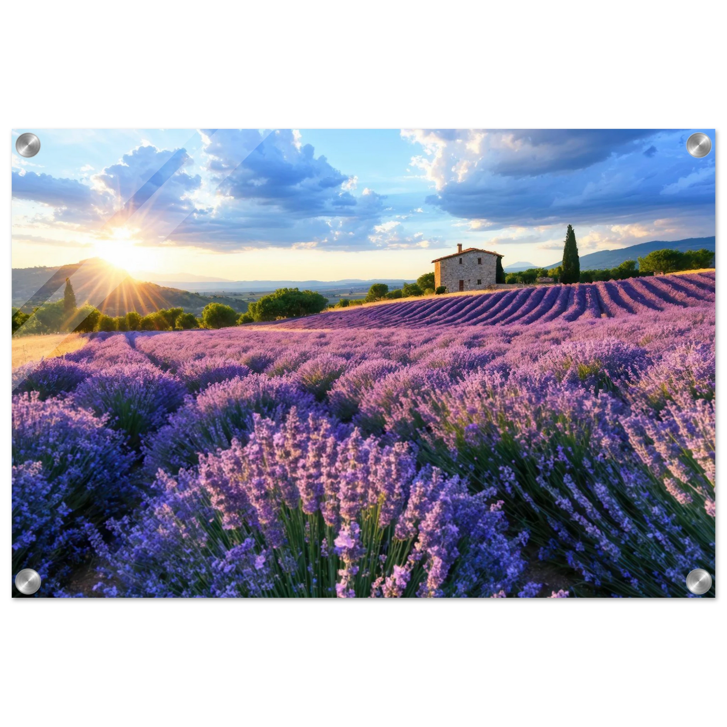 Wandbild sonnenuntergang ueber lavendelfeldern idyllische provence landschaft im wunschformat