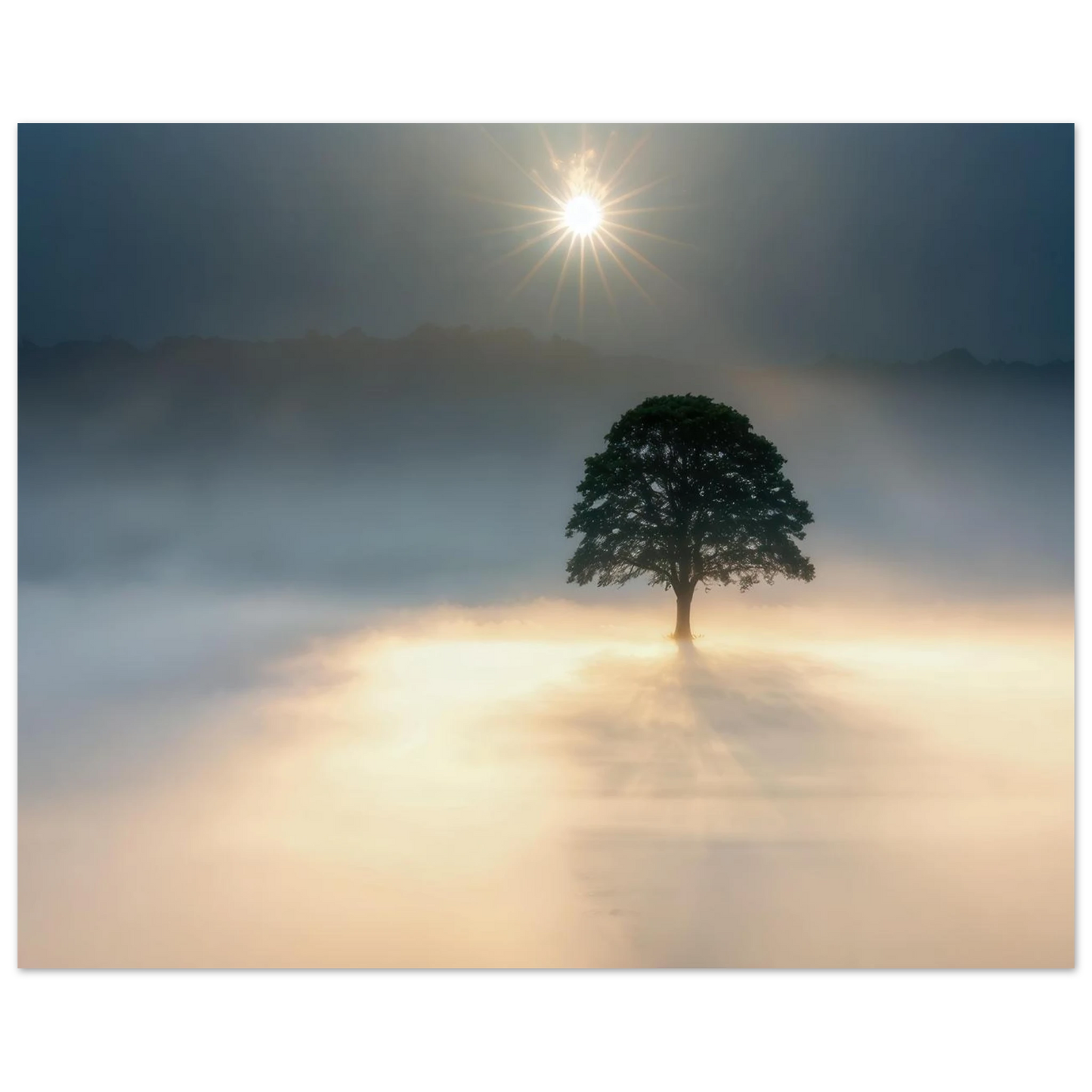 Wandbild mystisches baum wandbild einzelner baum im nebel sonnenaufgang waehlbar in verschiedenen groessen