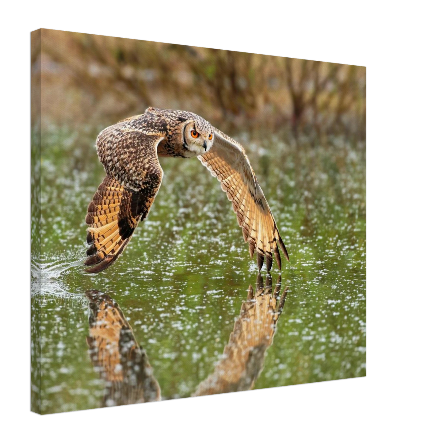 Wandbild majestaetische eule im flug naturfotografie mit lebendigen orangetoenen in ihrer wunschgroesse