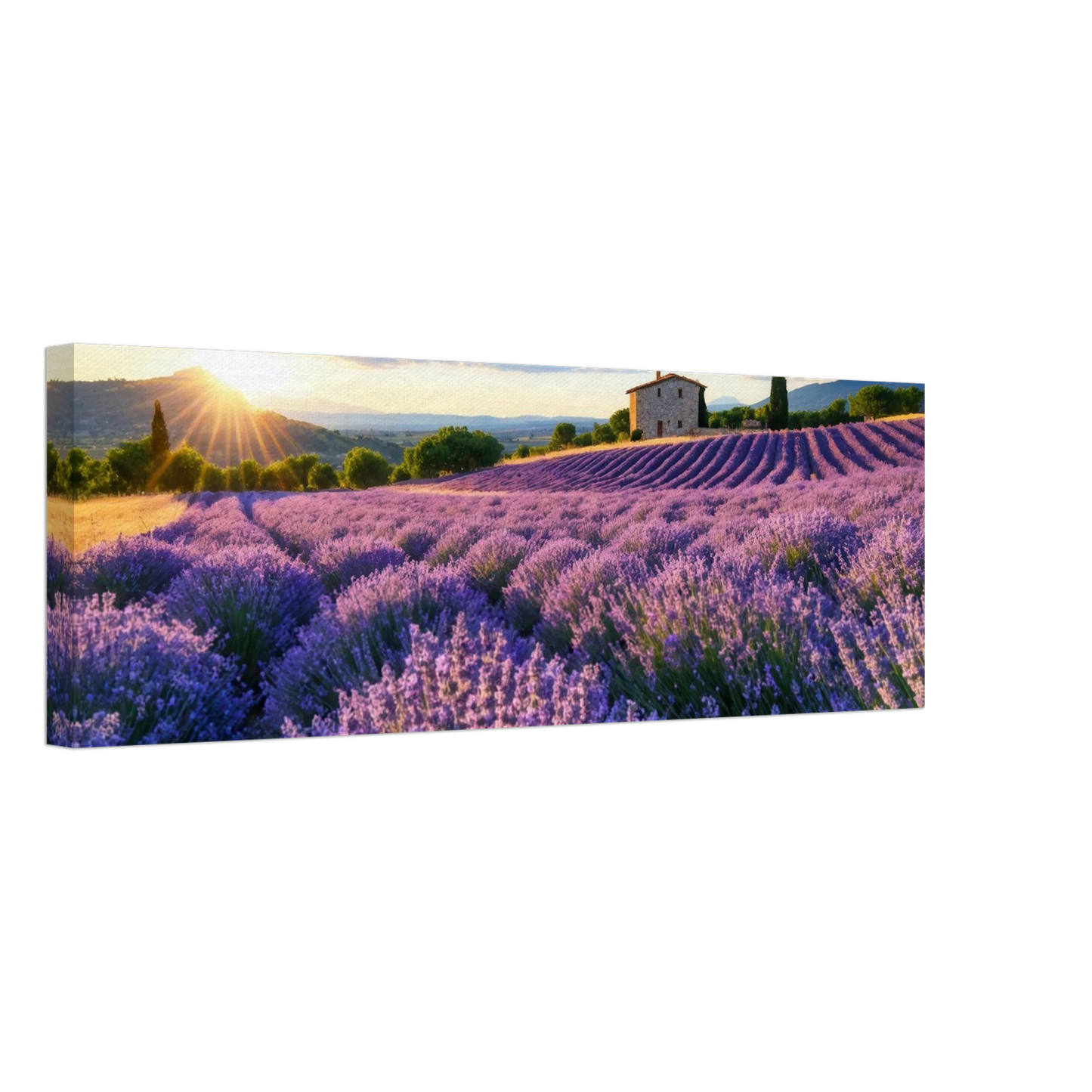 Wandbild sonnenuntergang ueber lavendelfeldern idyllische provence landschaft im wunschformat