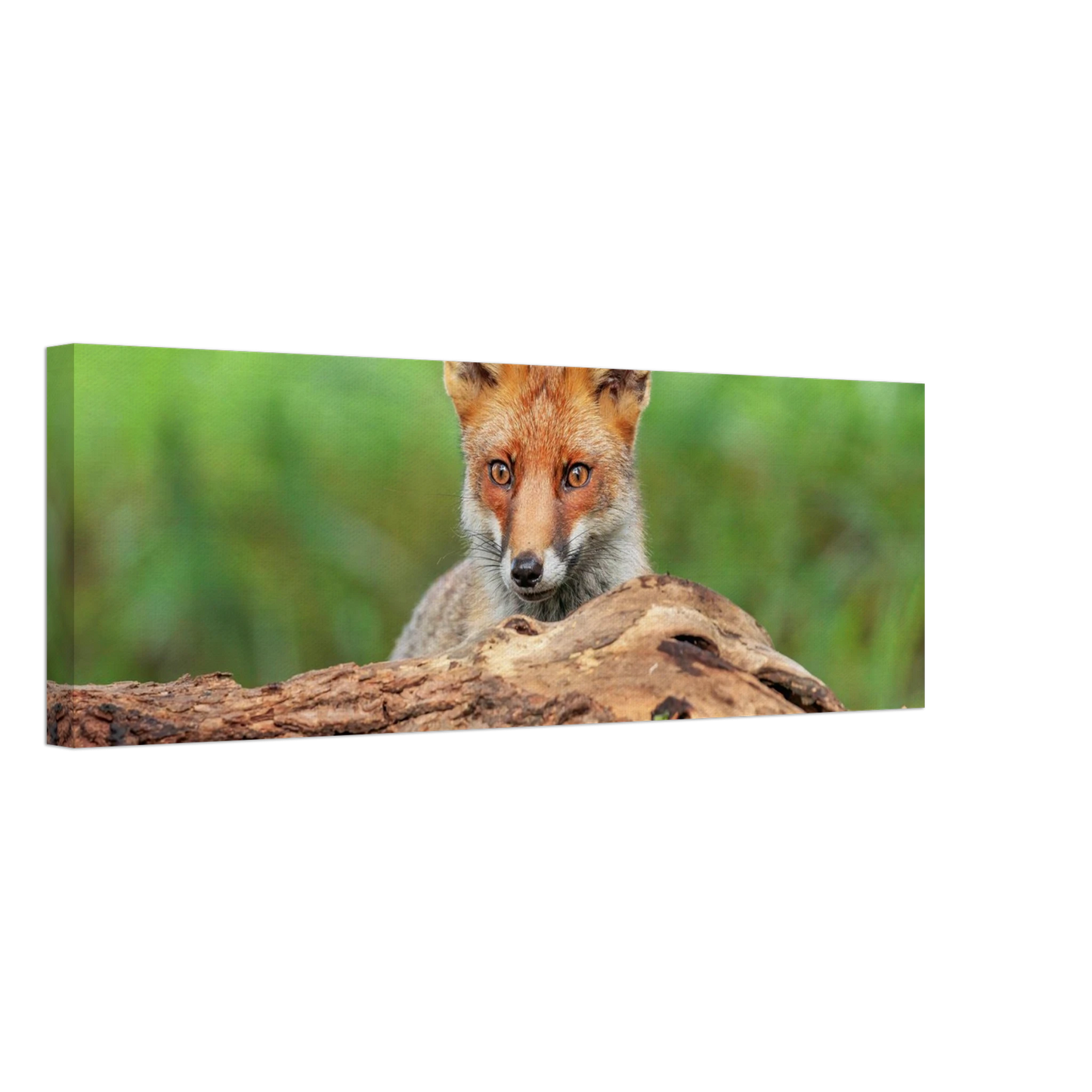 Wandbild fuchs im versteck einzigartige naturkunst fuer ihr zuhause