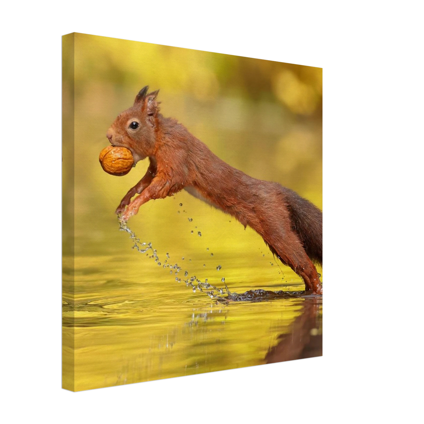 Wandbild eichhoernchen dynamische eichhoernchen kunst in lebhaften herbsttoenen