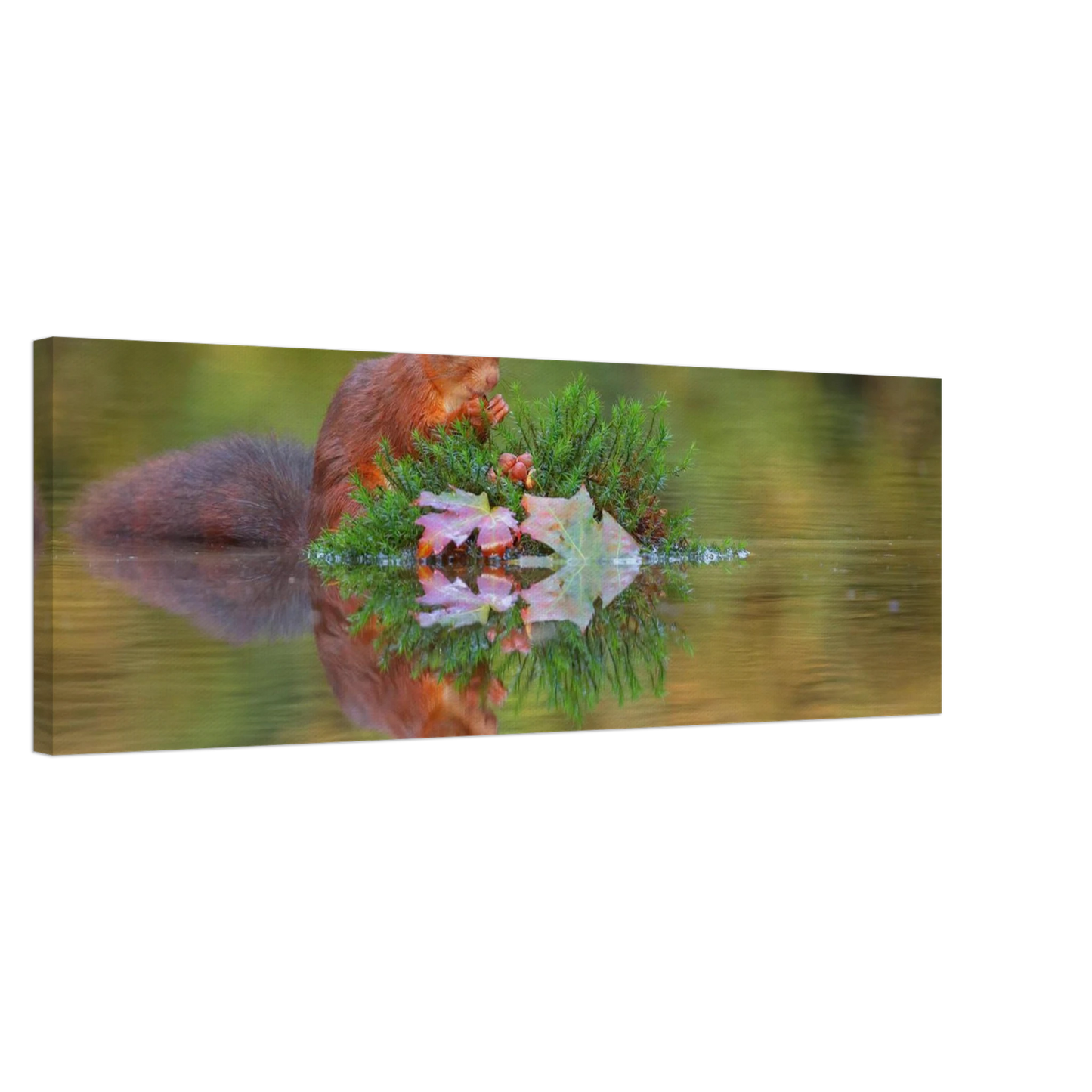 Wandbild bezauberndes eichhoernchen im herbstwald lebendige wildtierkunst fuer ihr zuhause in vielen groessen