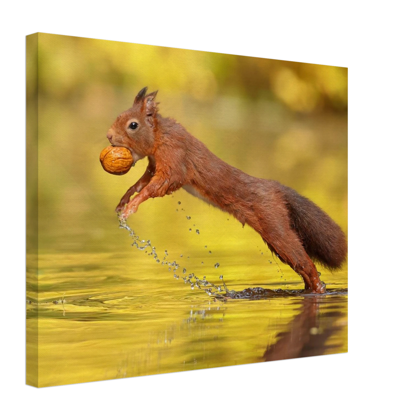 Wandbild eichhoernchen dynamische eichhoernchen kunst in lebhaften herbsttoenen