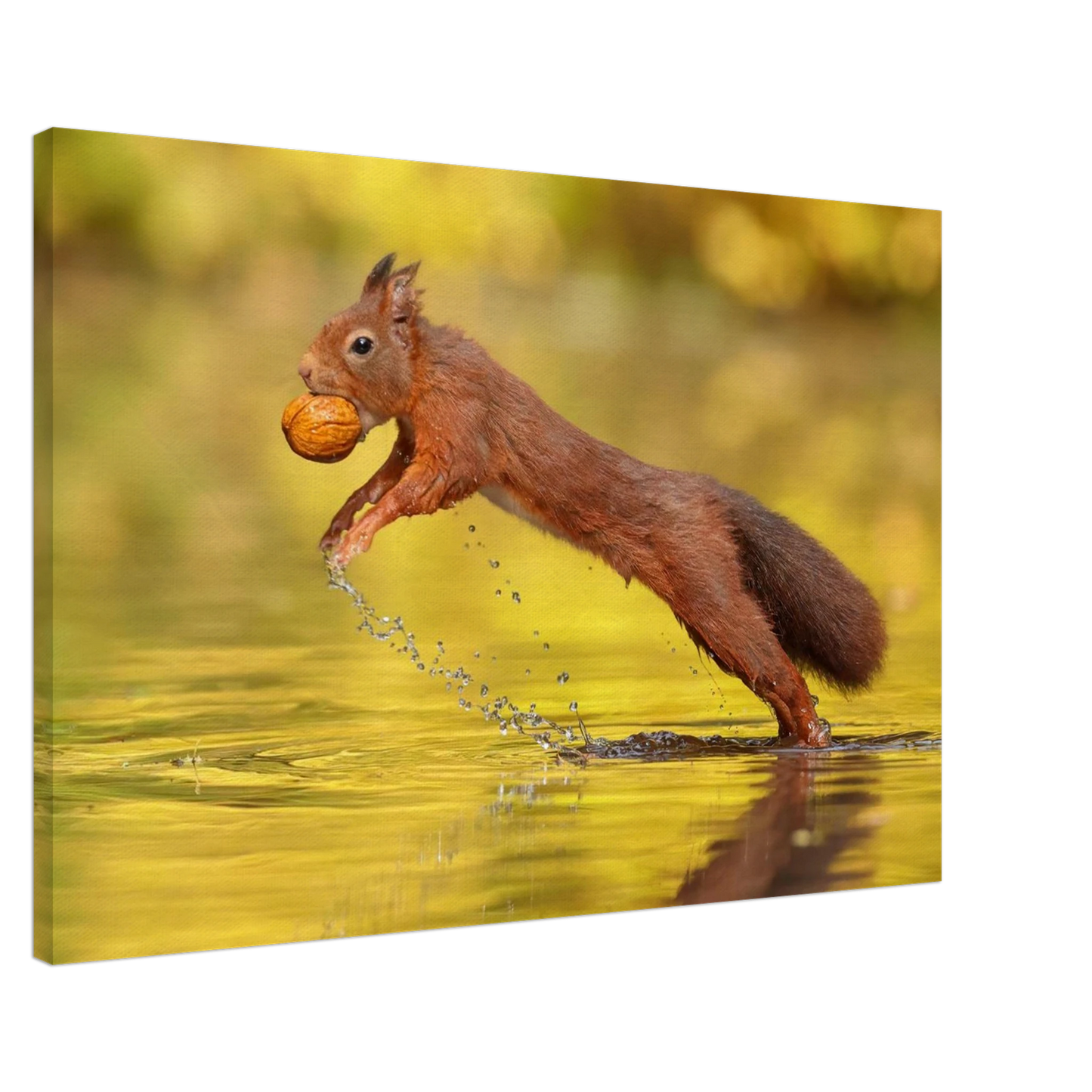 Wandbild eichhoernchen dynamische eichhoernchen kunst in lebhaften herbsttoenen