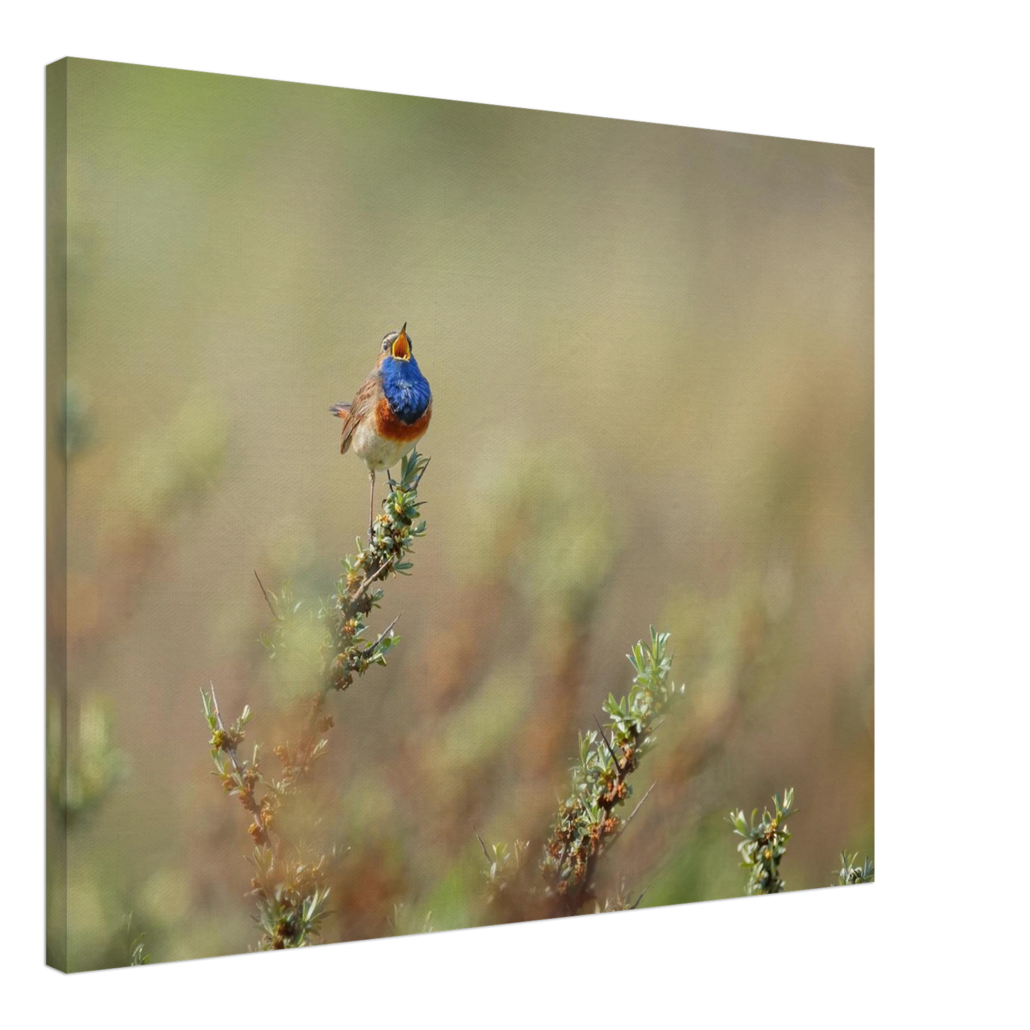 Wandbild lebendige nachtigall ein meisterwerk der naturfotografie fuer ihr zuhause