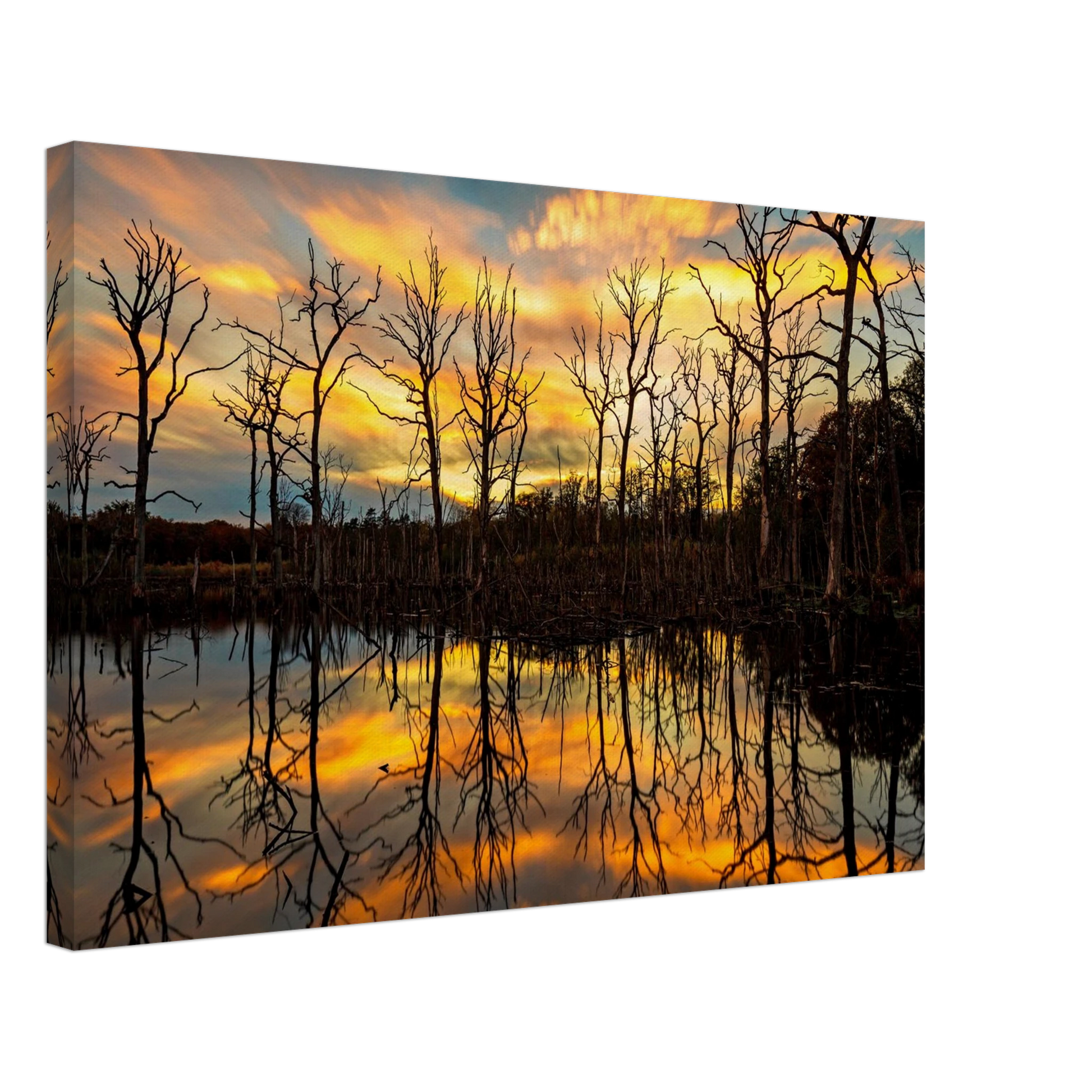 Wandbild mystischer sonnenuntergang ueber dem baumsee lebendige kunstdrucke in vielen groessen