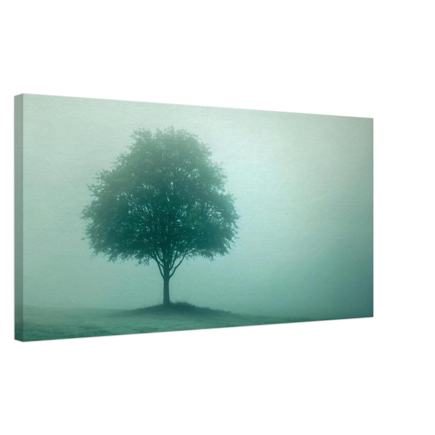 Wandbild mystischer baum im nebel ruhe und gruentoene fuer dein zuhause