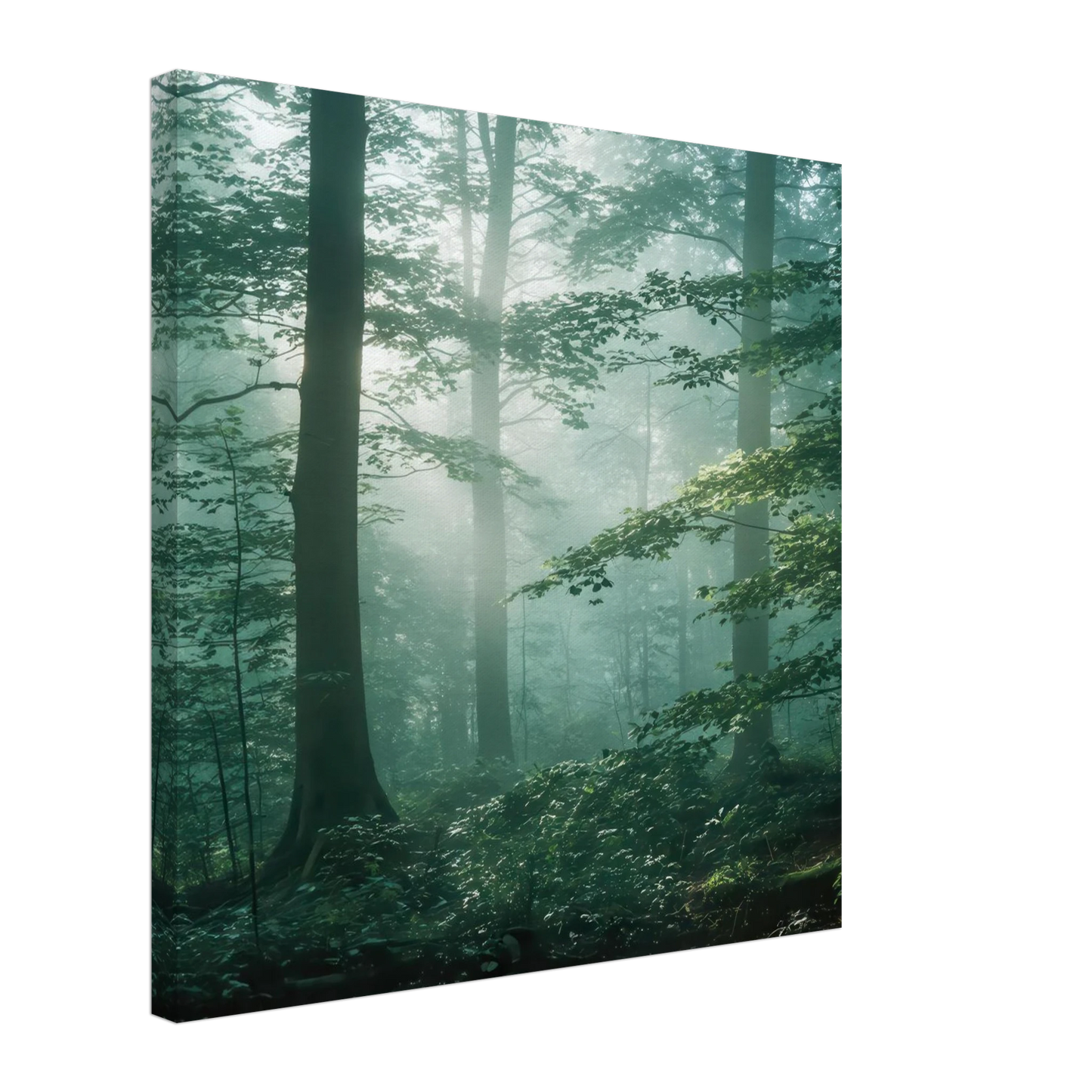 Wandbild mystischer smaragd wald mit sonnenstrahlen beruhigende nebelwald kunst in ihrer wunschgroesse