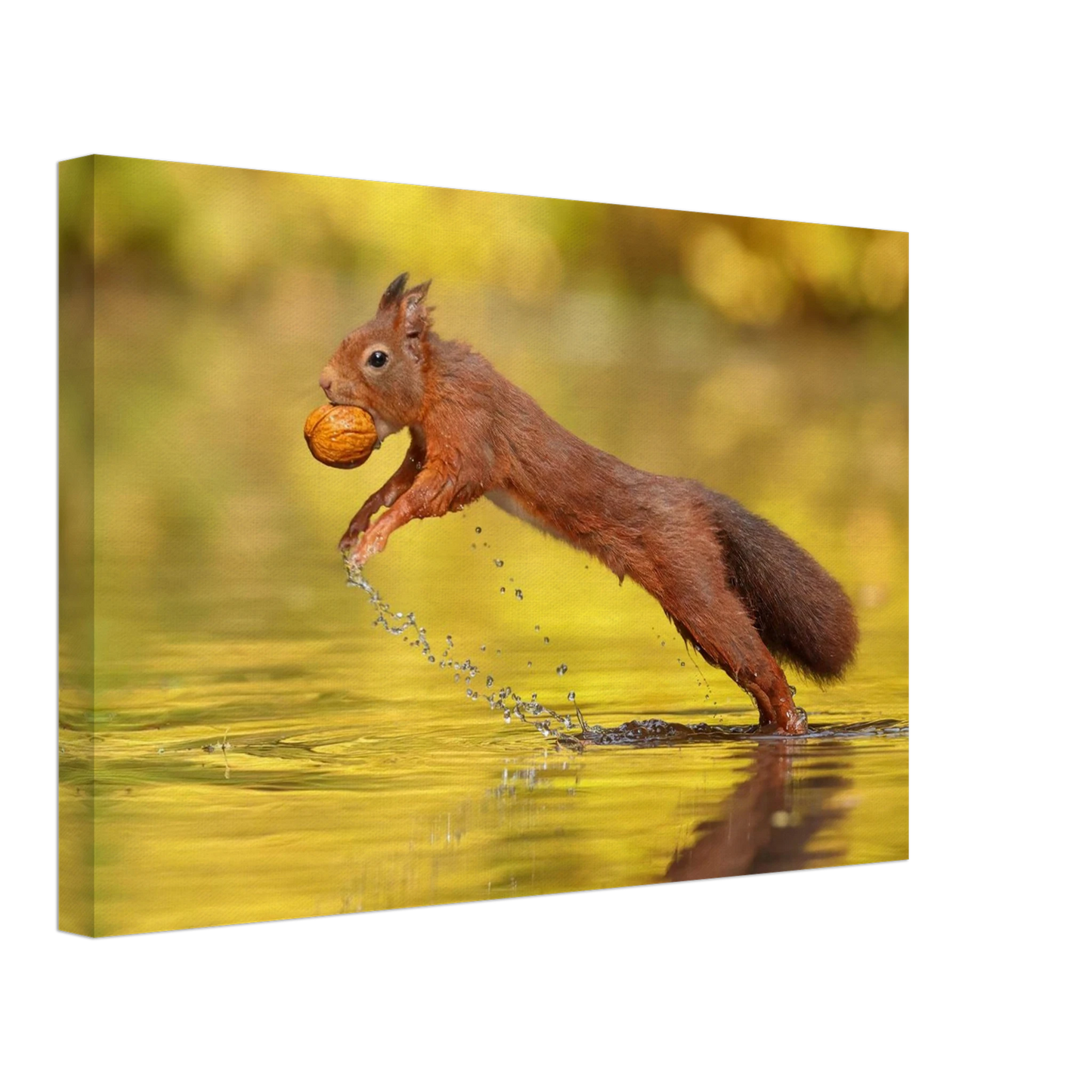 Wandbild eichhoernchen dynamische eichhoernchen kunst in lebhaften herbsttoenen