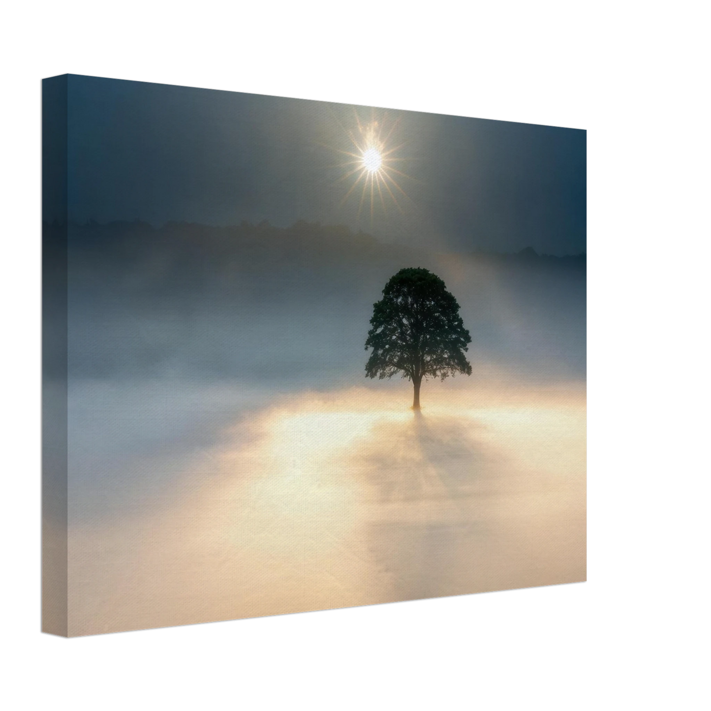 Wandbild mystisches baum wandbild einzelner baum im nebel sonnenaufgang waehlbar in verschiedenen groessen