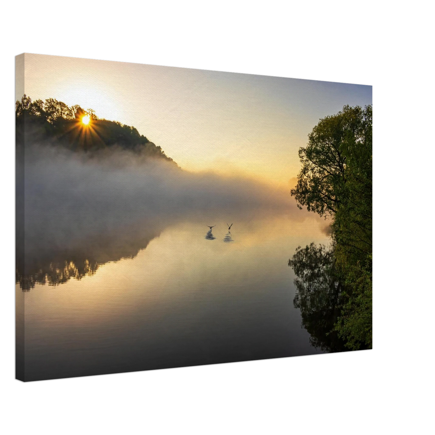 Wandbild mystischer sonnenaufgang ueber dem nebelmeer stille wasser voegel leinwandbild fuer ihr zuhause