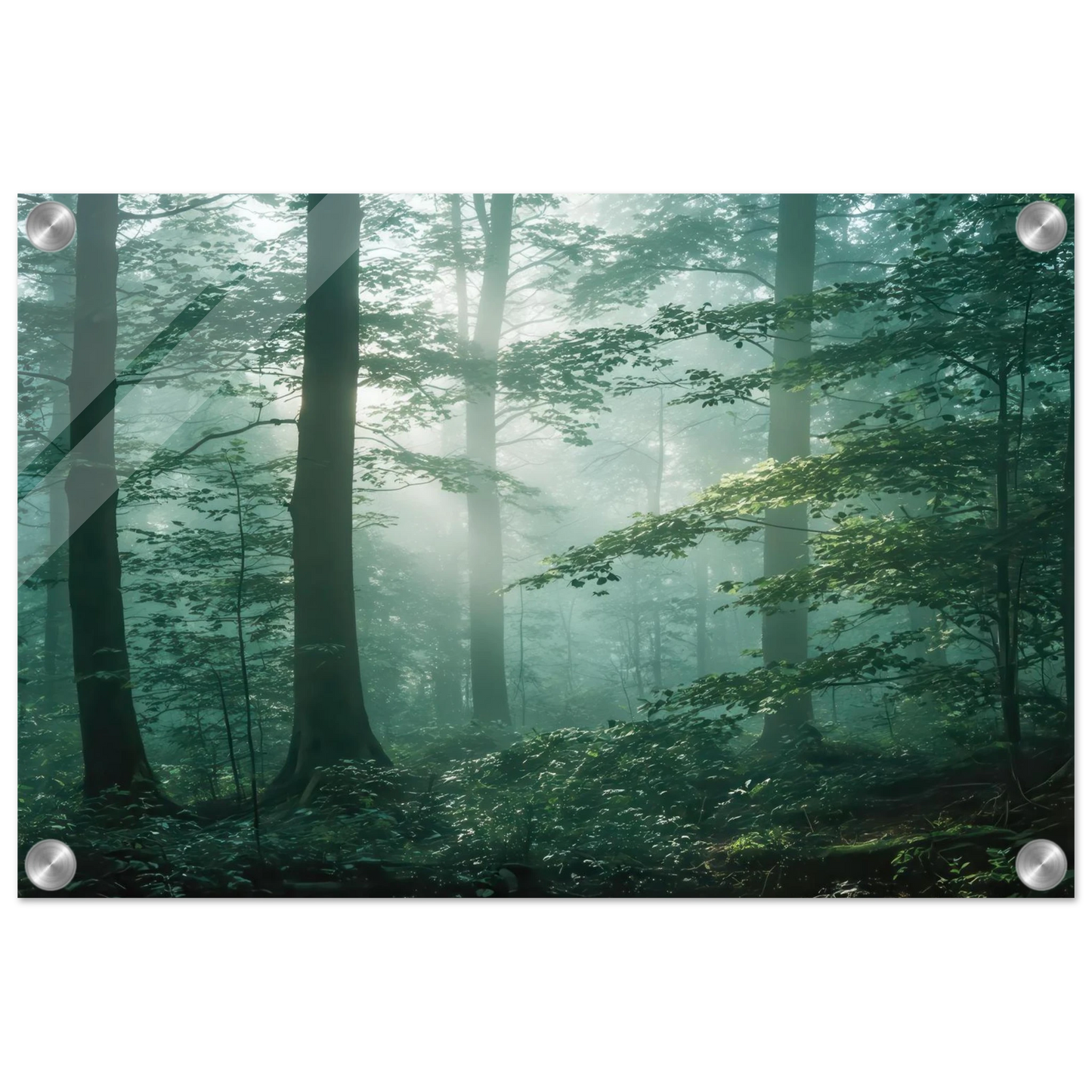Wandbild mystischer smaragd wald mit sonnenstrahlen beruhigende nebelwald kunst in ihrer wunschgroesse