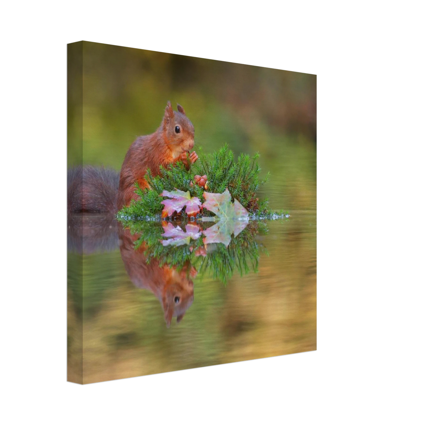 Wandbild bezauberndes eichhoernchen im herbstwald lebendige wildtierkunst fuer ihr zuhause in vielen groessen