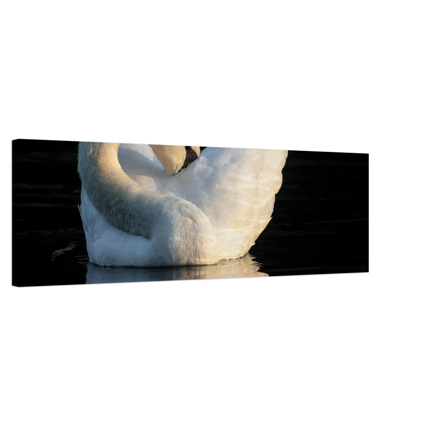 Wandbild schwan bei sonnenuntergang elegante wandkunst fuer ihr zuhause