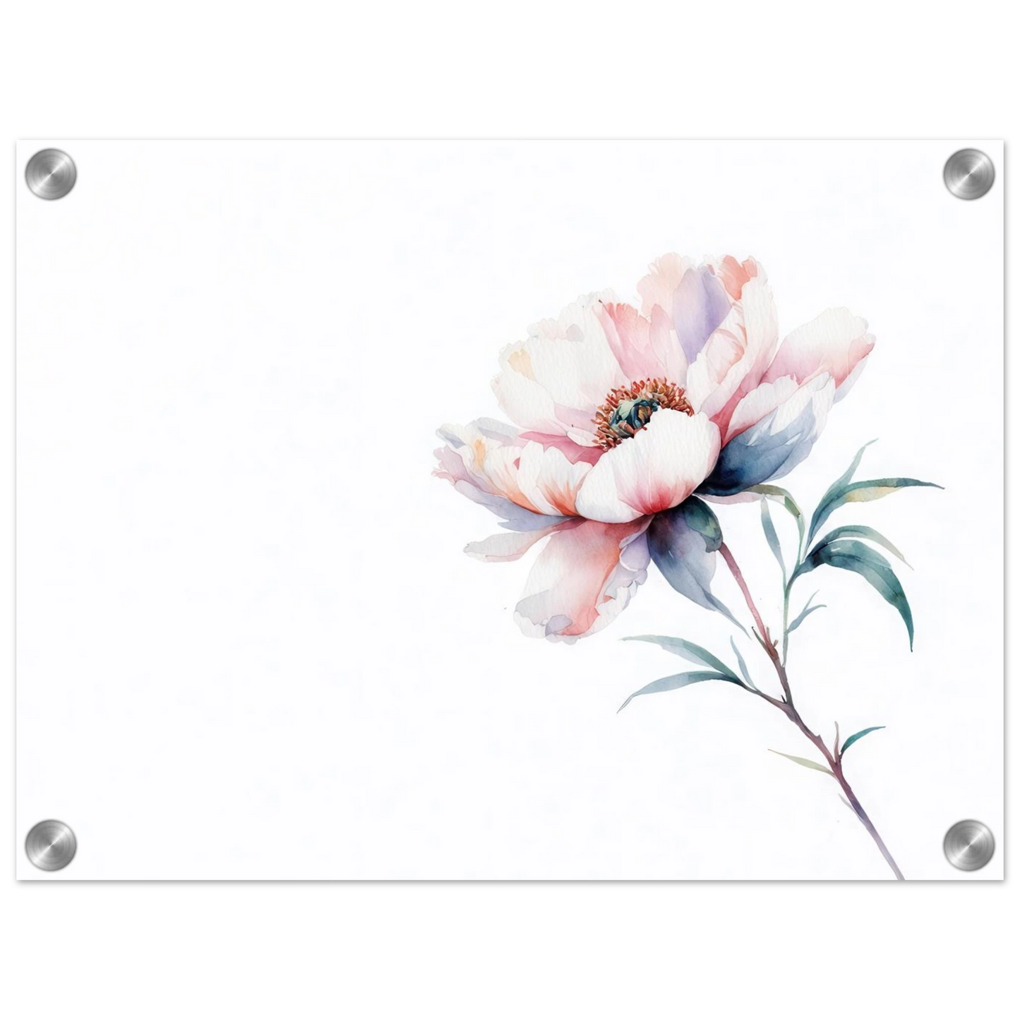 Wandbild zarte pfingstrose elegante aquarell kunst fuer ihr zuhause in wunschgroesse