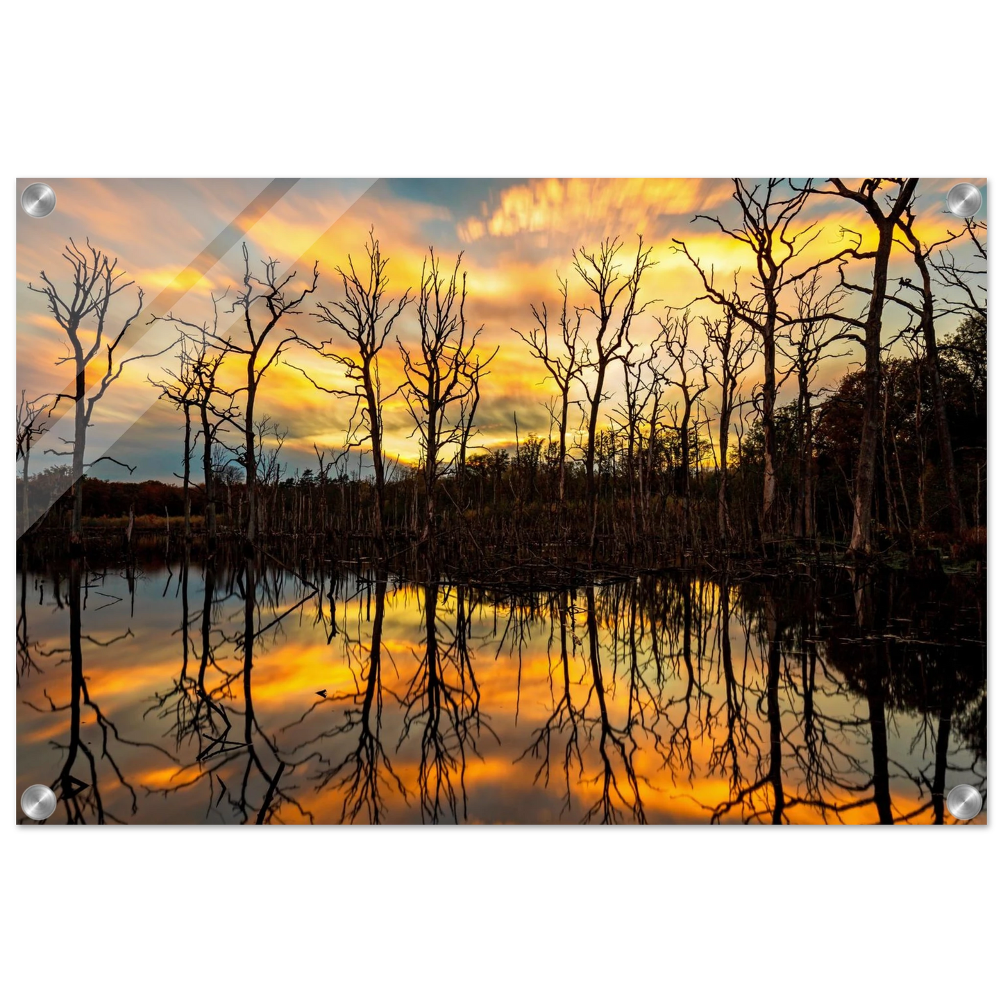 Wandbild mystischer sonnenuntergang ueber dem baumsee lebendige kunstdrucke in vielen groessen