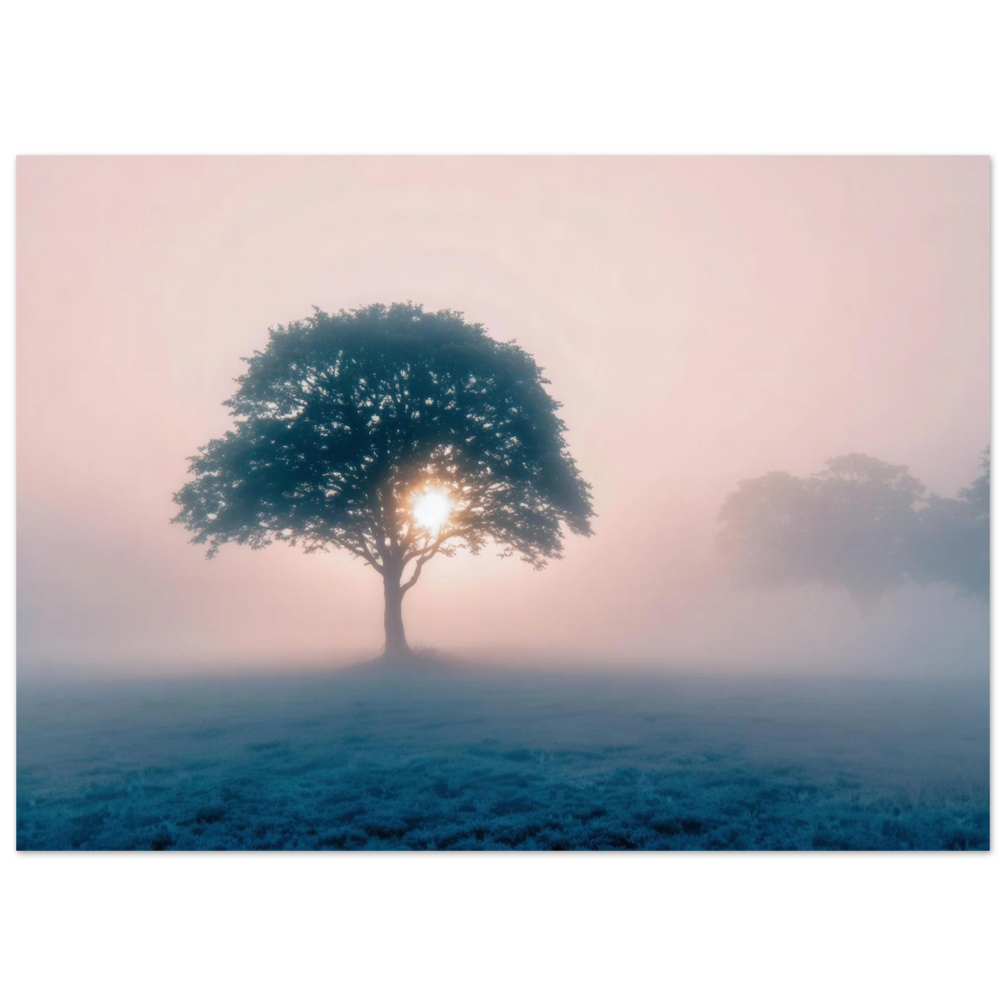 Wandbild mystischer morgendaemmerung baum traumhaftes landschaftsbild fuer ihre wohlfuehloase