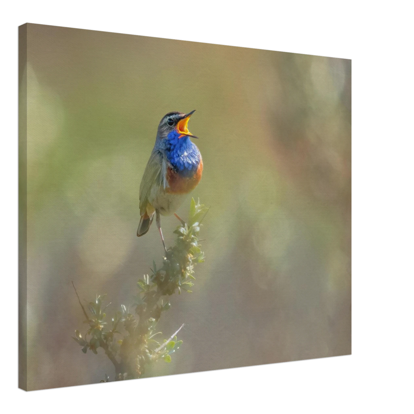 Wandbild singvogel in blautoenen lebendige vogelkunst fuer ihr zuhause in ihrer wunschgroesse