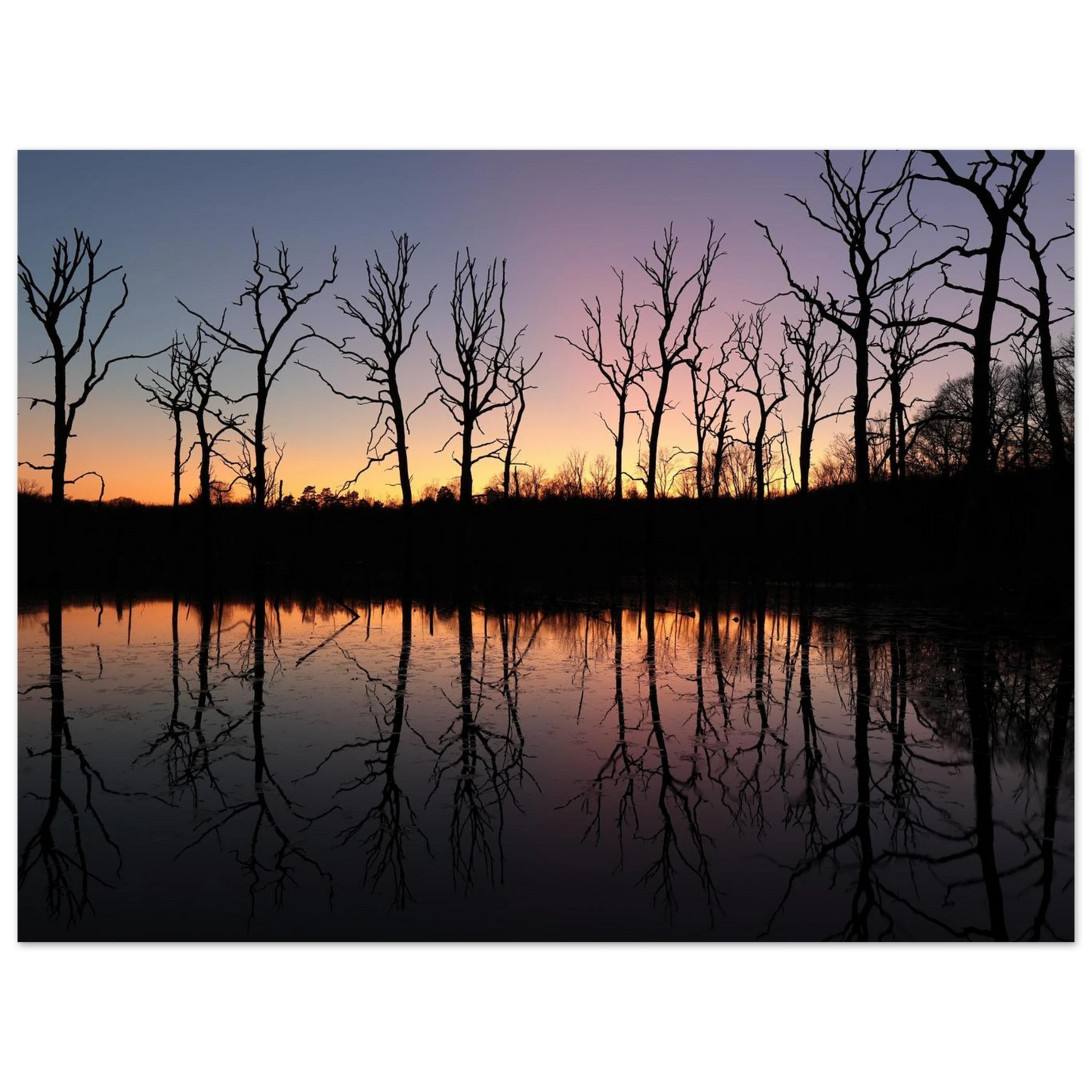 Wandbild sonnenuntergang ueber spiegelndem see magische naturlandschaft mit silhouetten