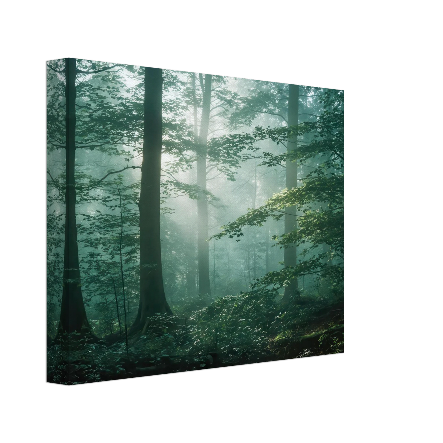 Wandbild mystischer smaragd wald mit sonnenstrahlen beruhigende nebelwald kunst in ihrer wunschgroesse