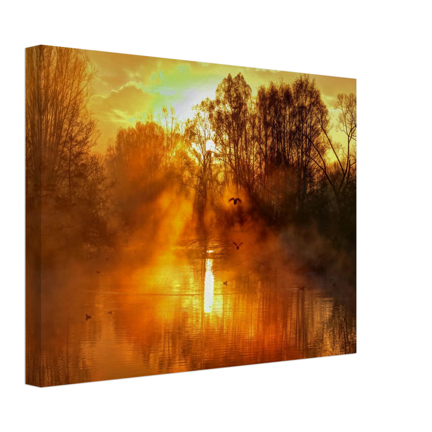 Wandbild Goldene morgenroete wandbild nebelwald poster in 25 groessenausfuehrungen