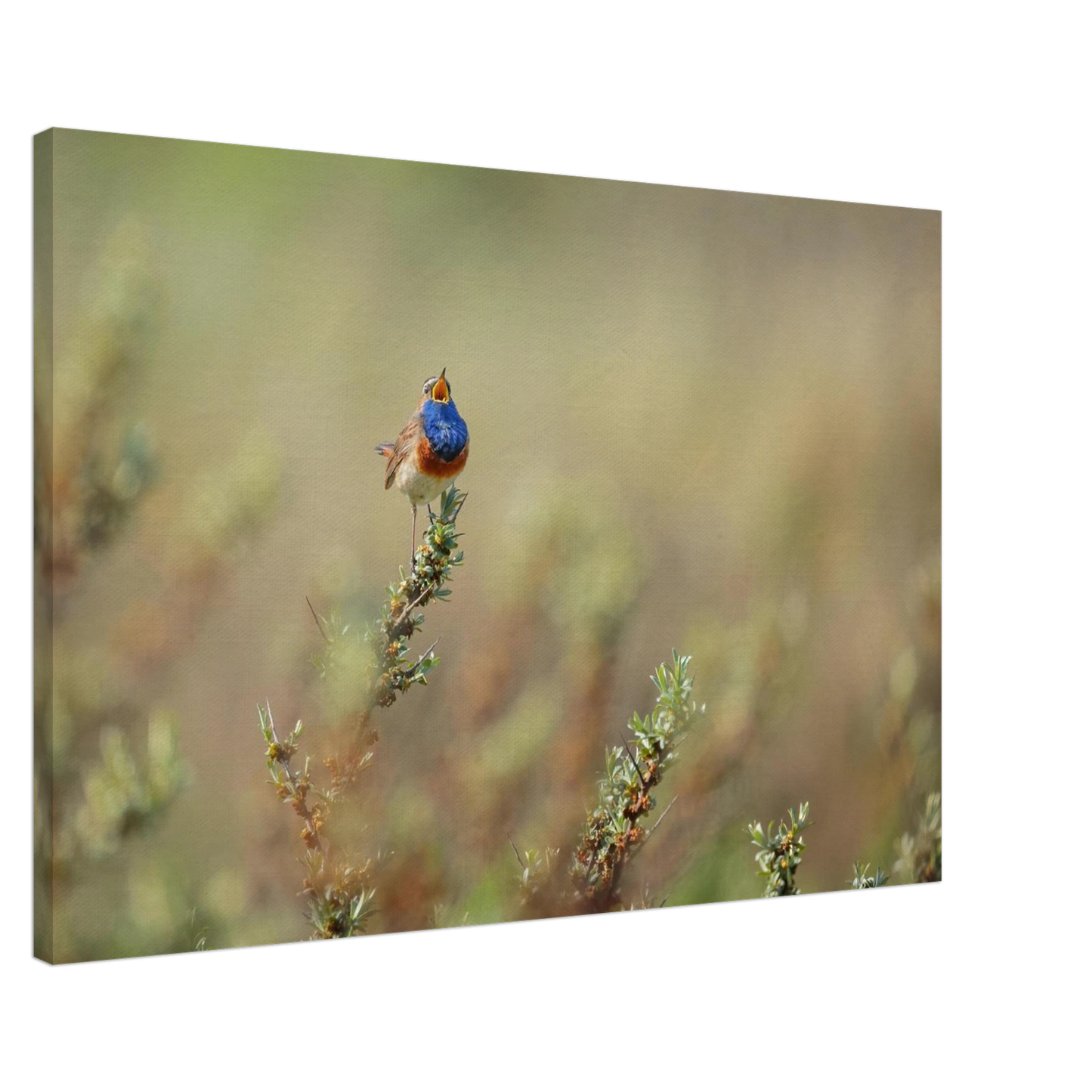 Wandbild lebendige nachtigall ein meisterwerk der naturfotografie fuer ihr zuhause