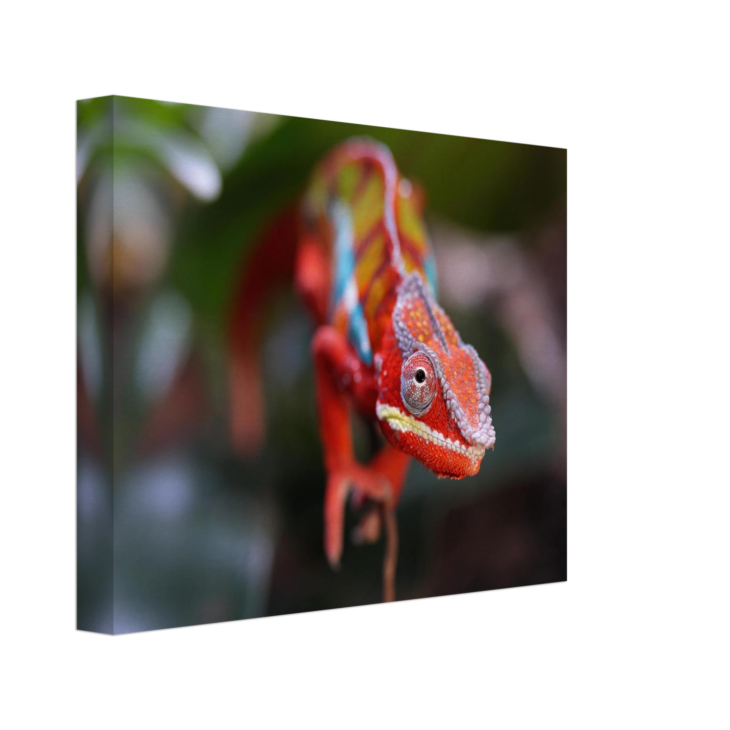 Wandbild faszinierendes chamaeleon portraet lebendige tierkunst fuer ihr zuhause in ihrer wunschgroesse
