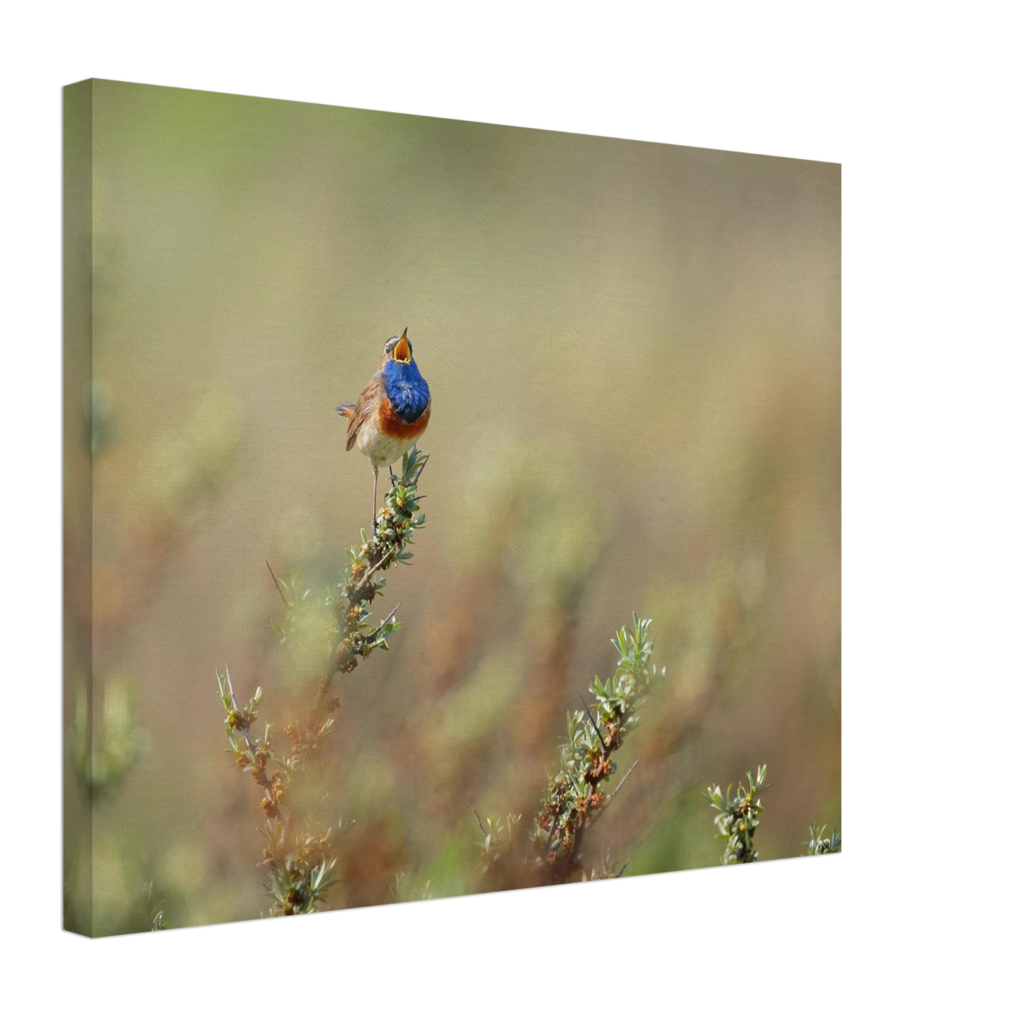 Wandbild lebendige nachtigall ein meisterwerk der naturfotografie fuer ihr zuhause