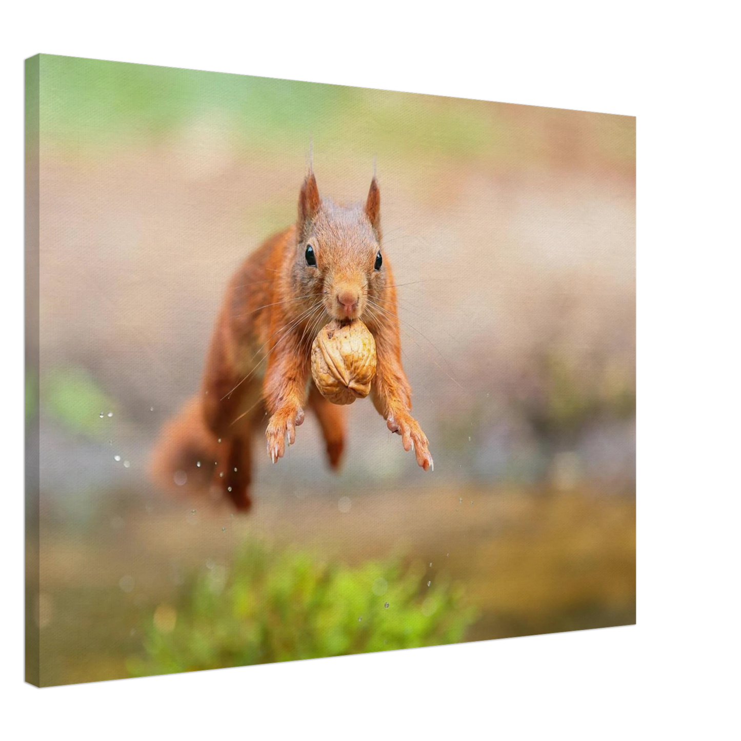 Wandbild eichhoernchens freudensprung dynamische tierkunst in leuchtenden farben