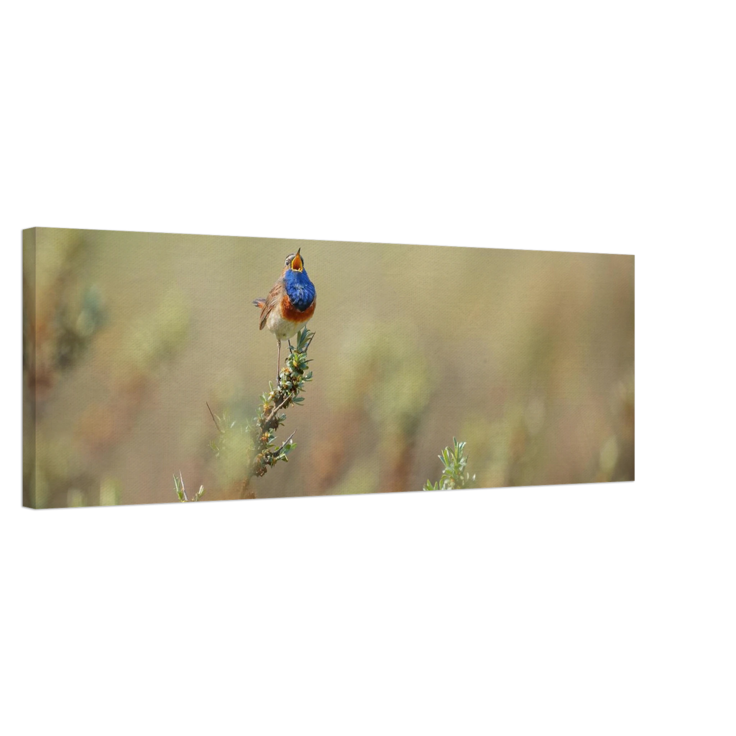 Wandbild lebendige nachtigall ein meisterwerk der naturfotografie fuer ihr zuhause