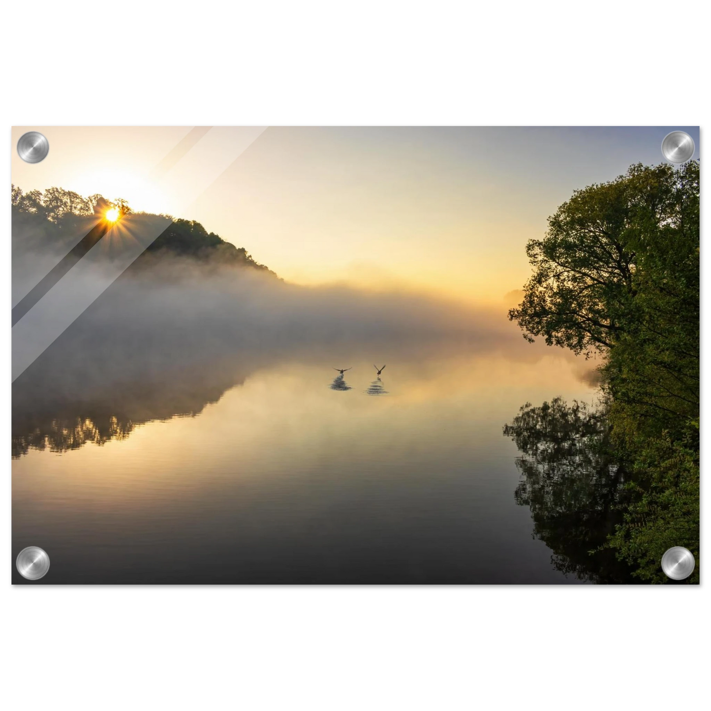 Wandbild mystischer sonnenaufgang ueber dem nebelmeer stille wasser voegel leinwandbild fuer ihr zuhause