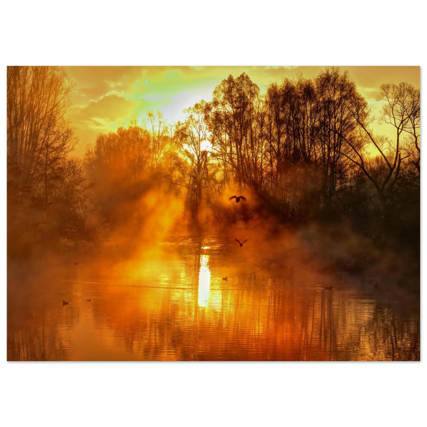 Wandbild Goldene morgenroete wandbild nebelwald poster in 25 groessenausfuehrungen