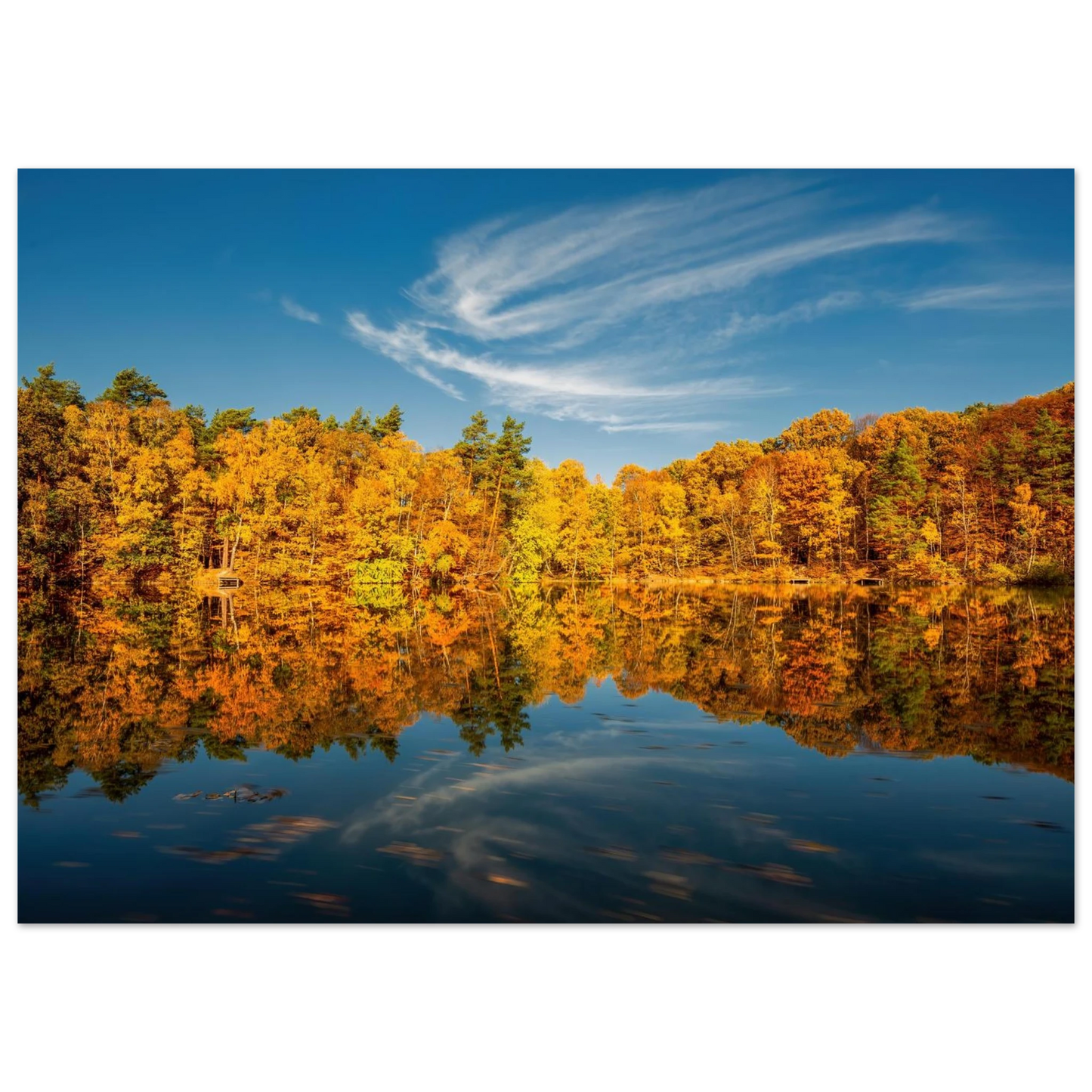 Wandbild herbstliche see symphonie atemberaubende waldspiegelung an einem sonnigen herbsttag